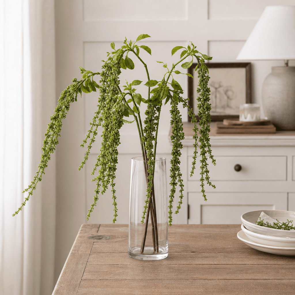 Green Amaranthus — Pack of 5