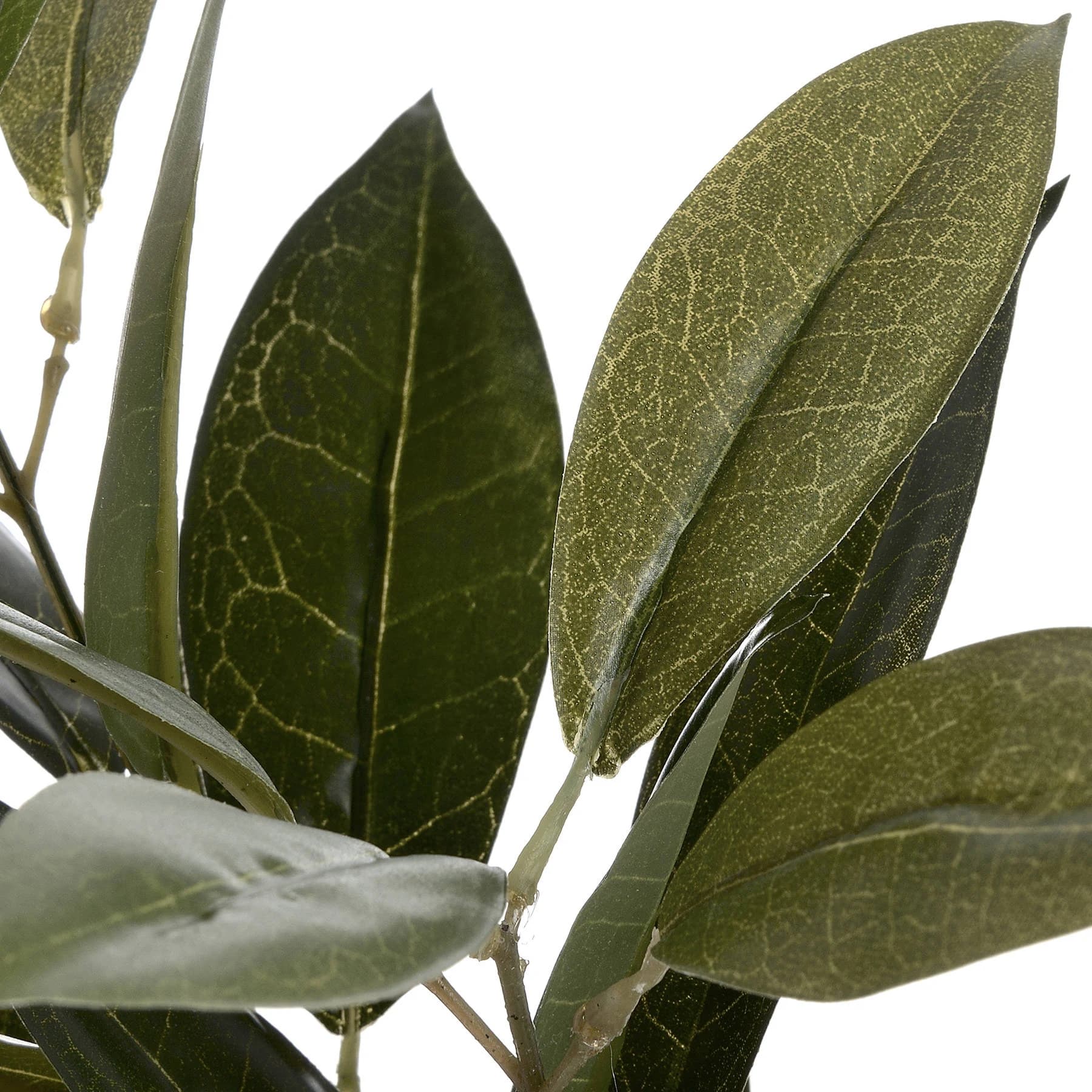 Faux Bay Leaf Spray — Pack of 5 - Artificial plants & flowers, photo 5 of 5