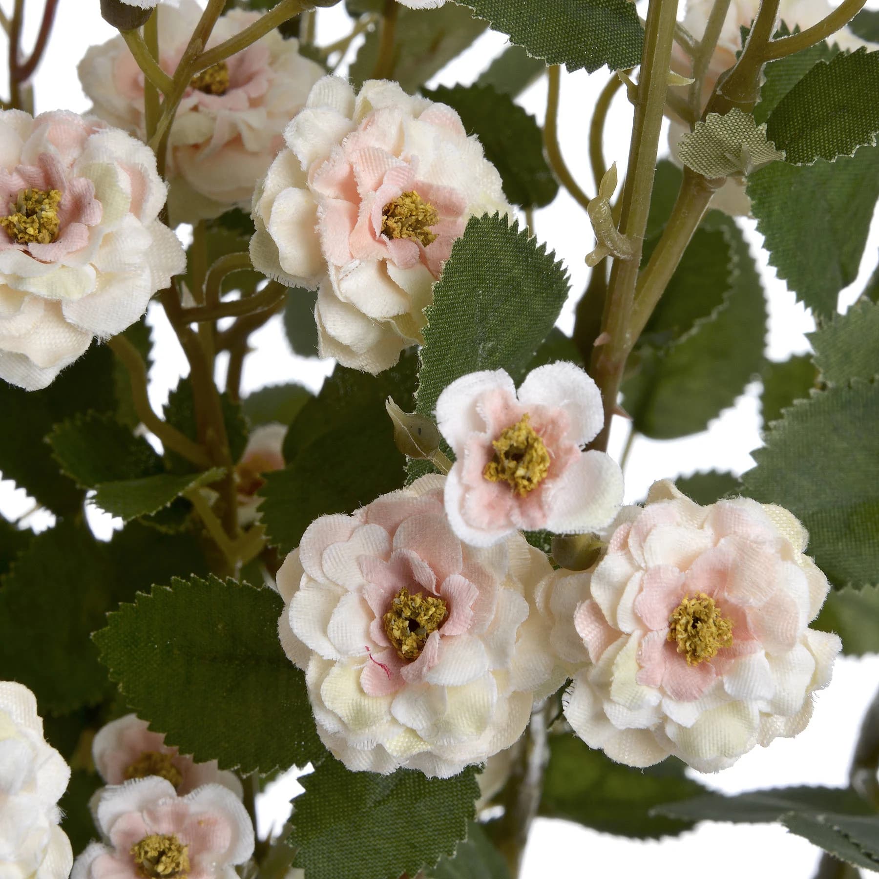 Cream Wild Meadow Rose — Pack of 5 - Artificial plants & flowers, photo 5 of 5