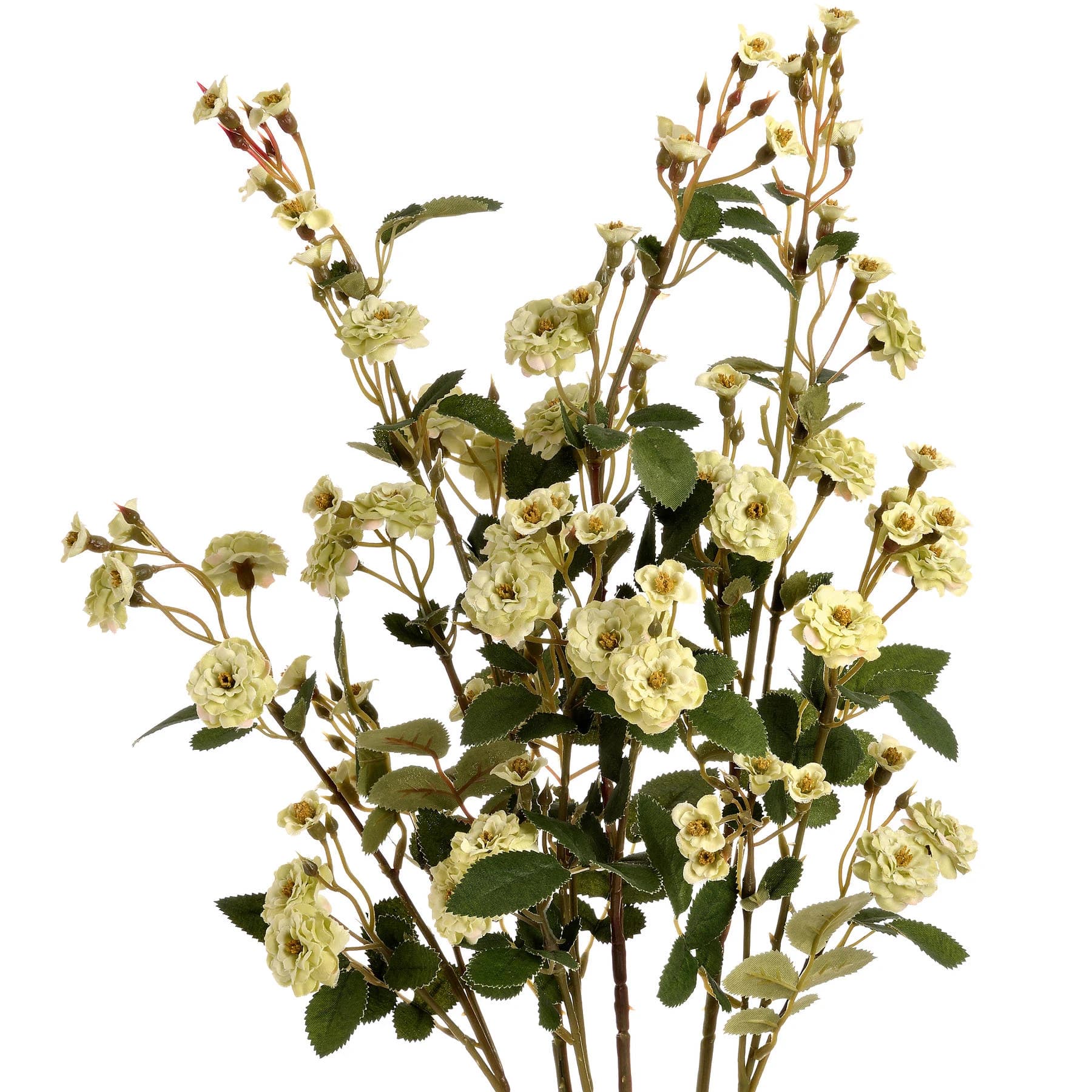 Green Wild Meadow Rose — Pack of 5 - Artificial plants & flowers, photo 4 of 5