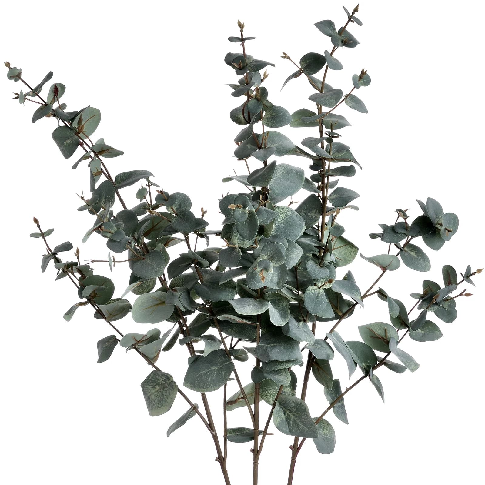 Variegated Eucalyptus — Pack of 3 - Artificial plants & flowers, photo 4 of 5