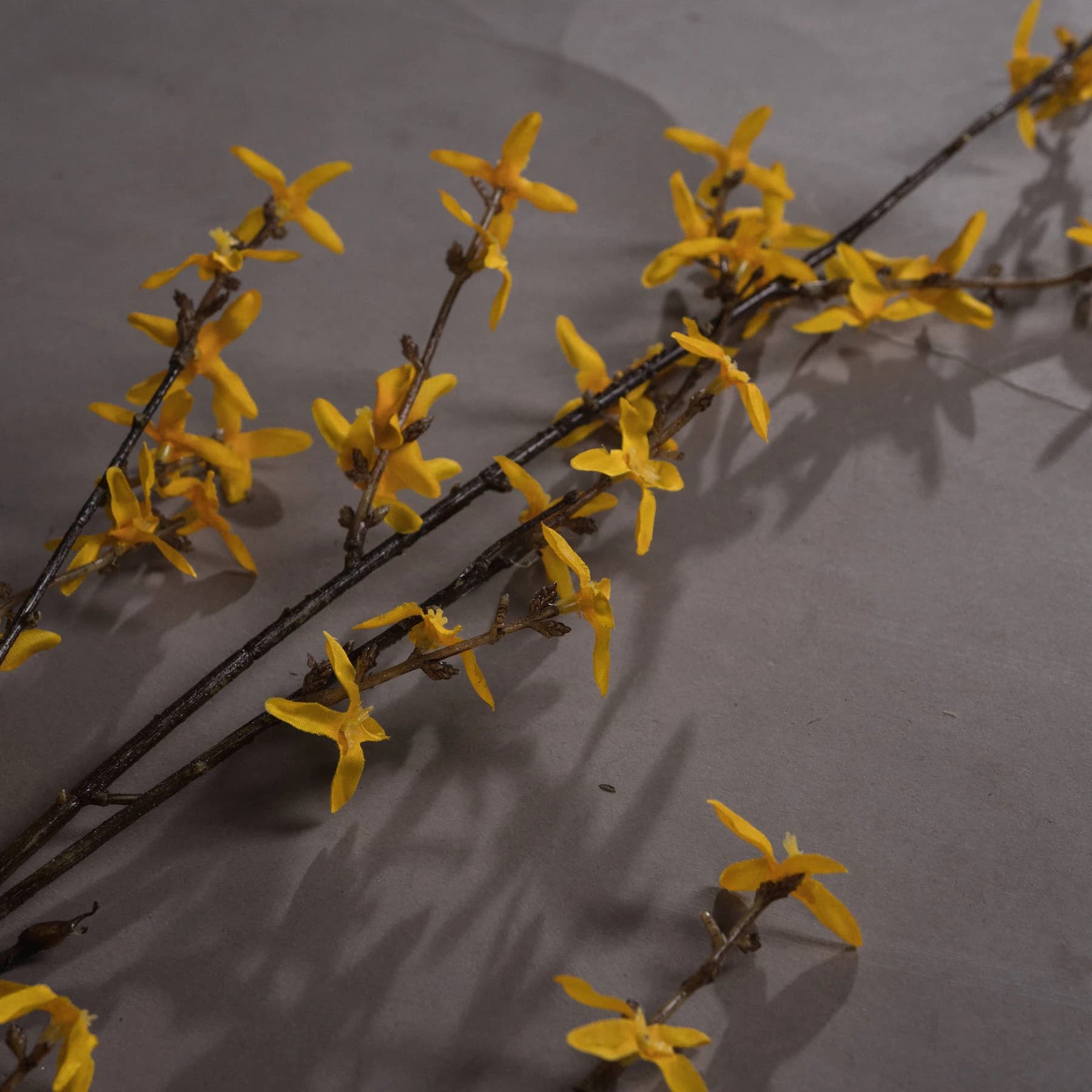 Forsythia — Pack of 5 - Artificial plants & flowers, photo 3 of 5
