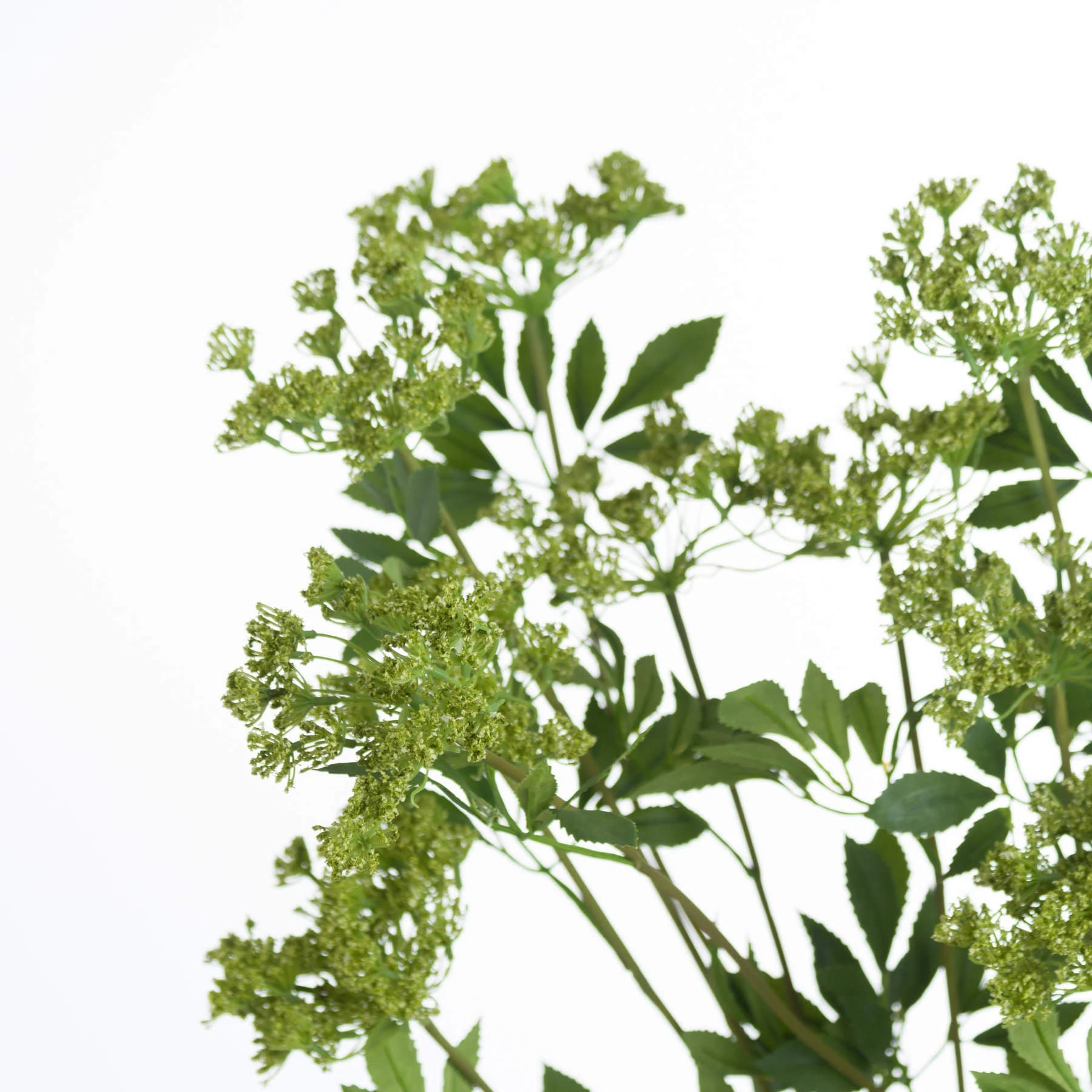 Faux Cow Parsley Ammi — Pack of 3 - Artificial plants & flowers, photo 5 of 5