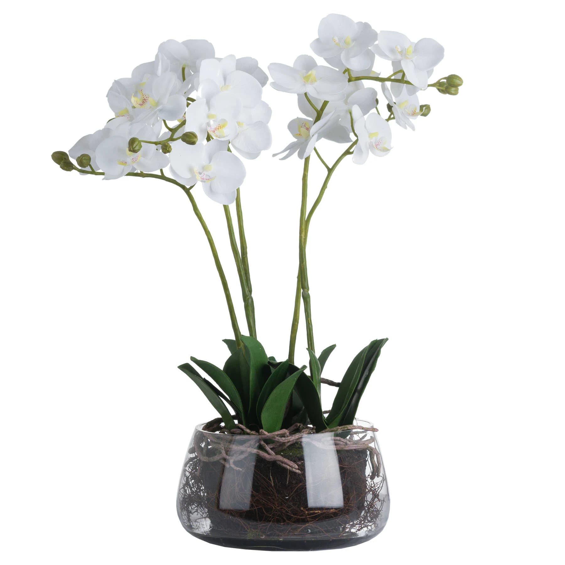White Orchid In Glass Pot - Dining tables, photo 2 of 3