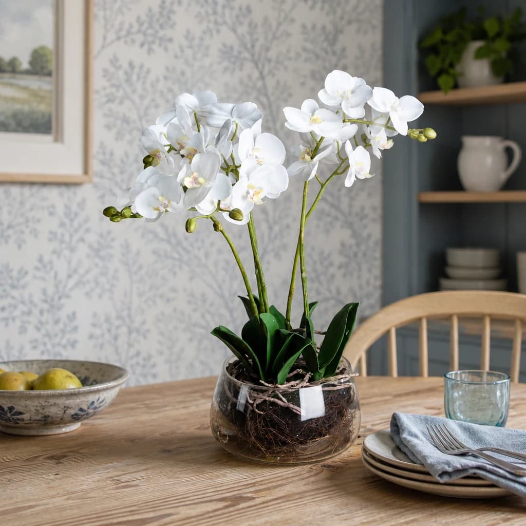 White Orchid In Glass Pot - Dining tables, photo 1 of 3