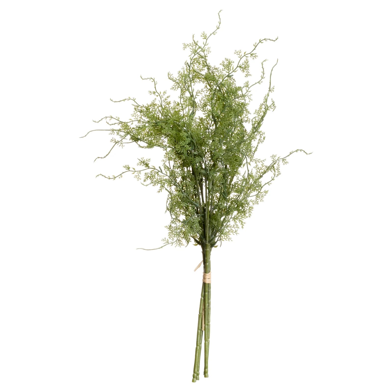 Asparagus Fern Bunch — Pack of 5 - Artificial plants & flowers, photo 3 of 5