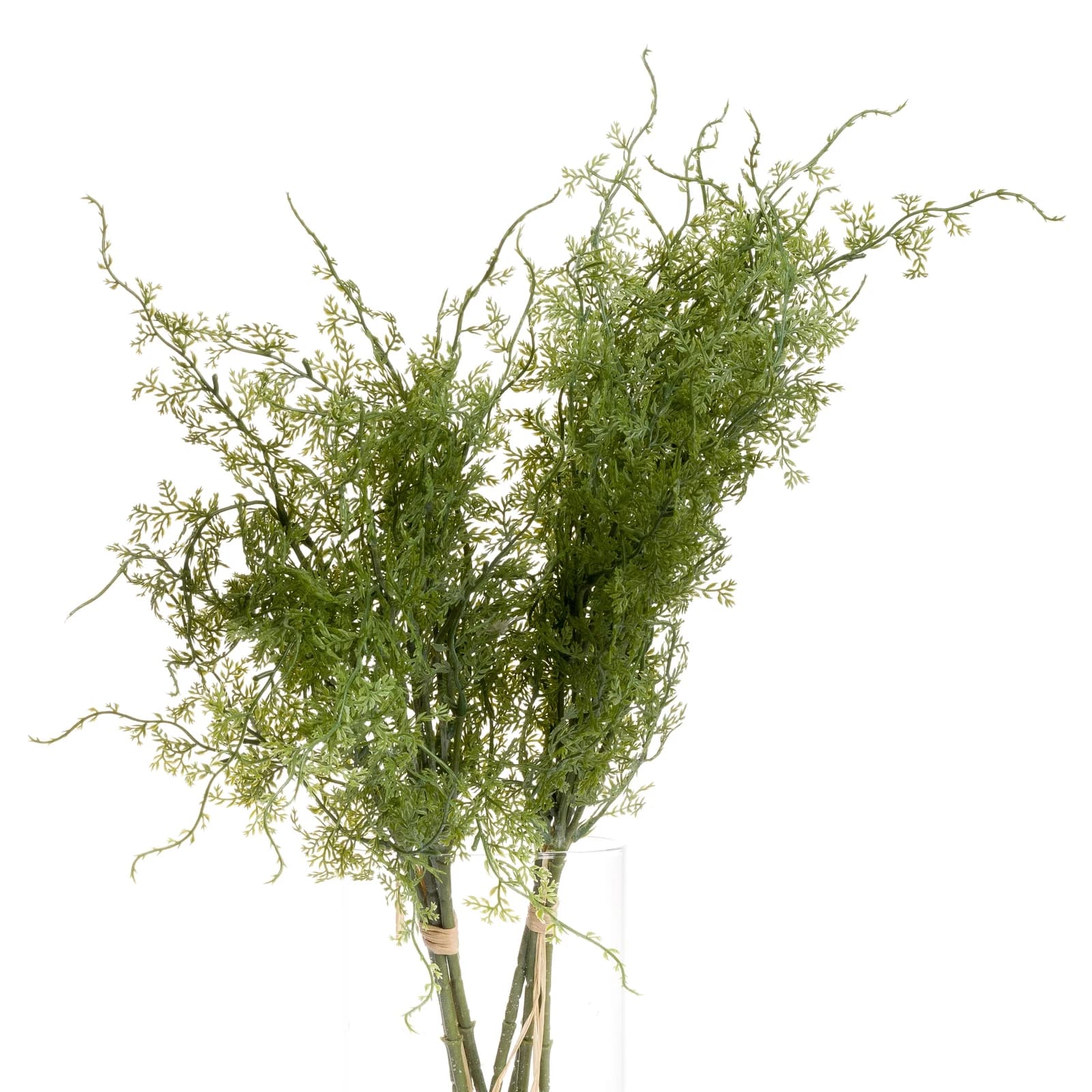 Asparagus Fern Bunch — Pack of 5 - Artificial plants & flowers, photo 4 of 5