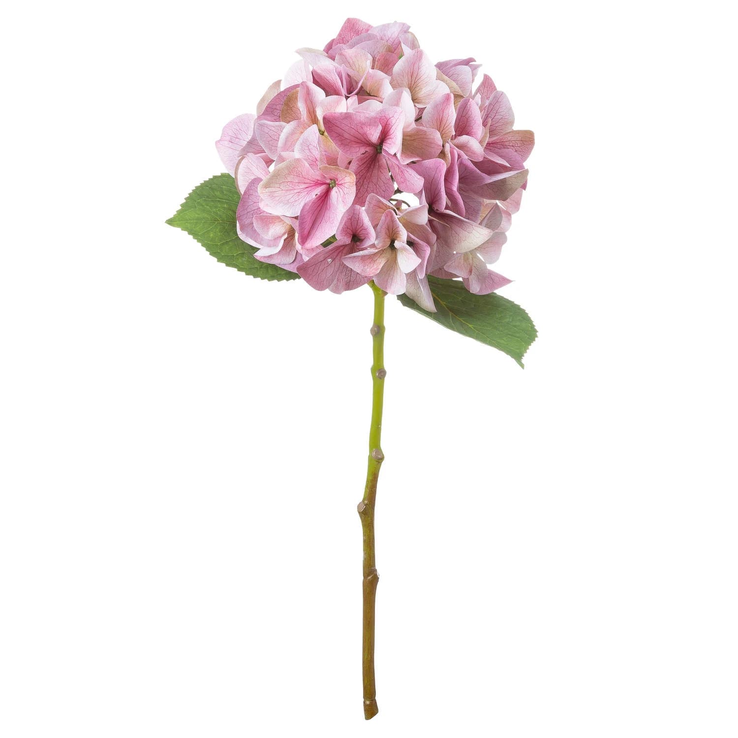 Shabby Pink Single Hydrangea — Pack of 5 - Artificial plants & flowers, photo 2 of 5