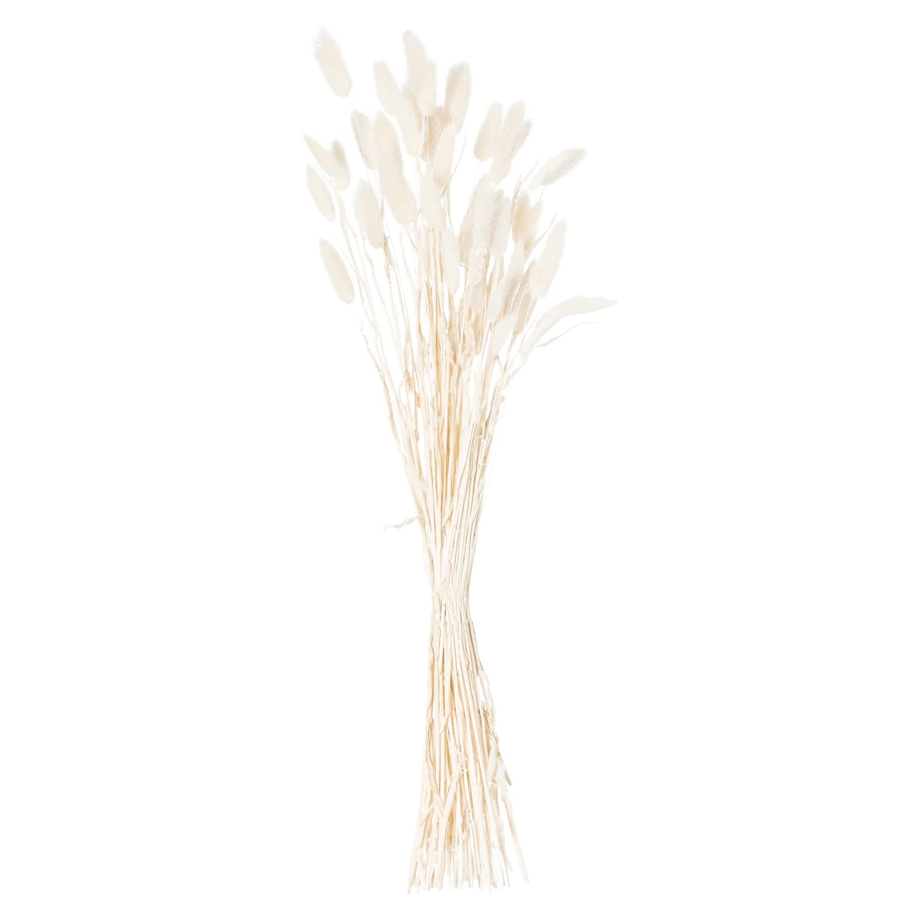 Dried White Bunny Tail Bunch Of 60 — Pack of 3 - Artificial plants & flowers, photo 2 of 4