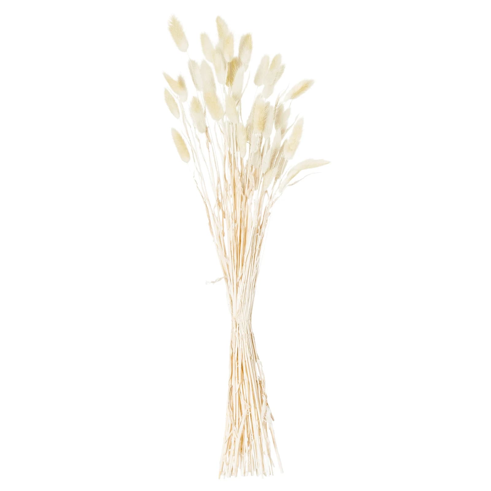 Dried Natural Bunny Tail Bunch Of 40 — Pack of 3 - Artificial plants & flowers, photo 3 of 4