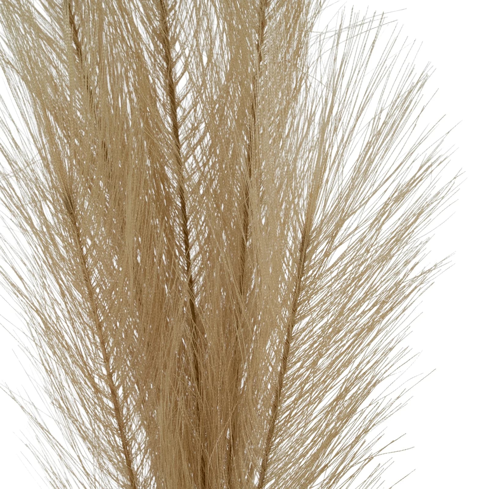 Faux Pampas Grass Stem — Pack of 5 - Artificial plants & flowers, photo 3 of 3