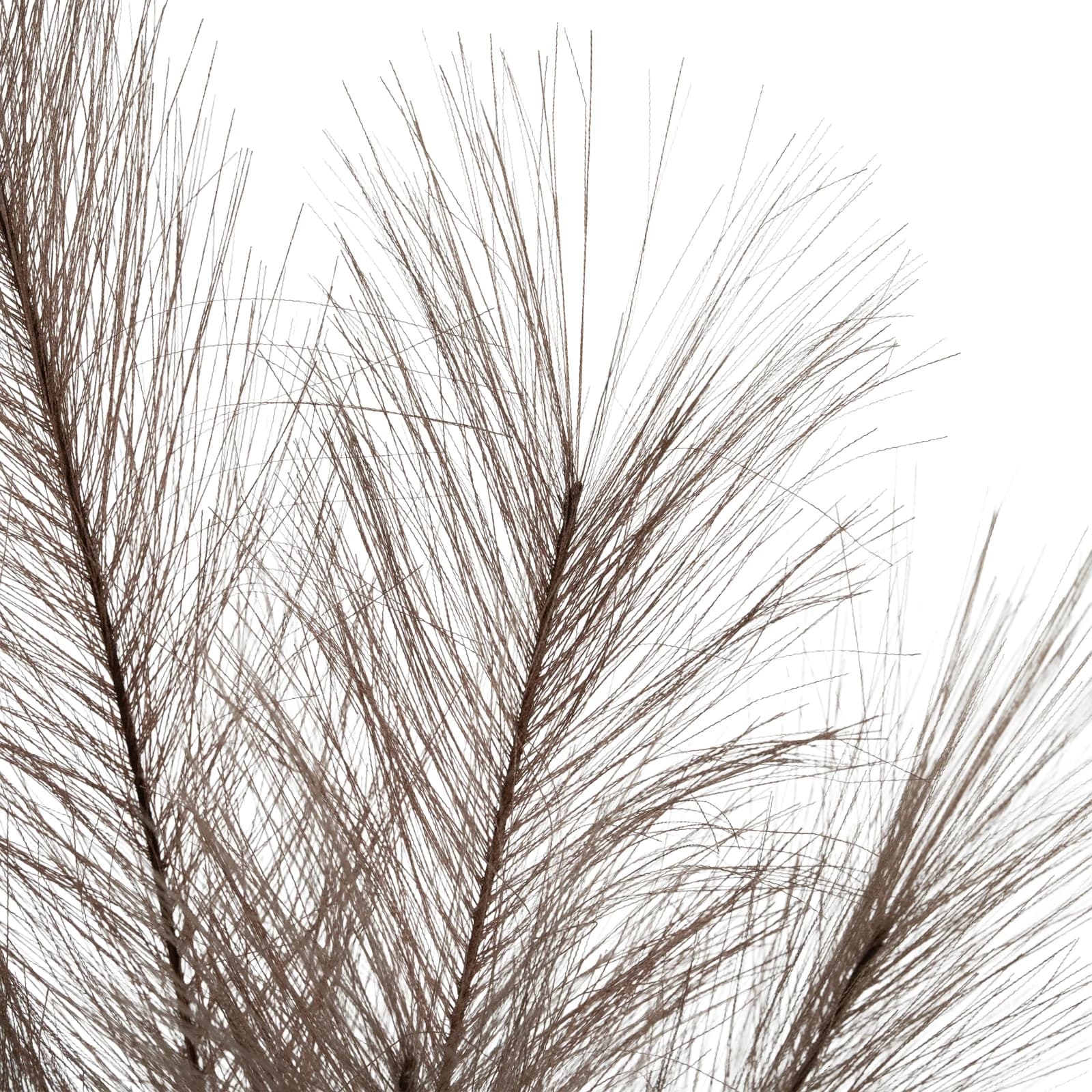 Grey Faux Pampas Grass Stem — Pack of 5 - Artificial plants & flowers, photo 4 of 4