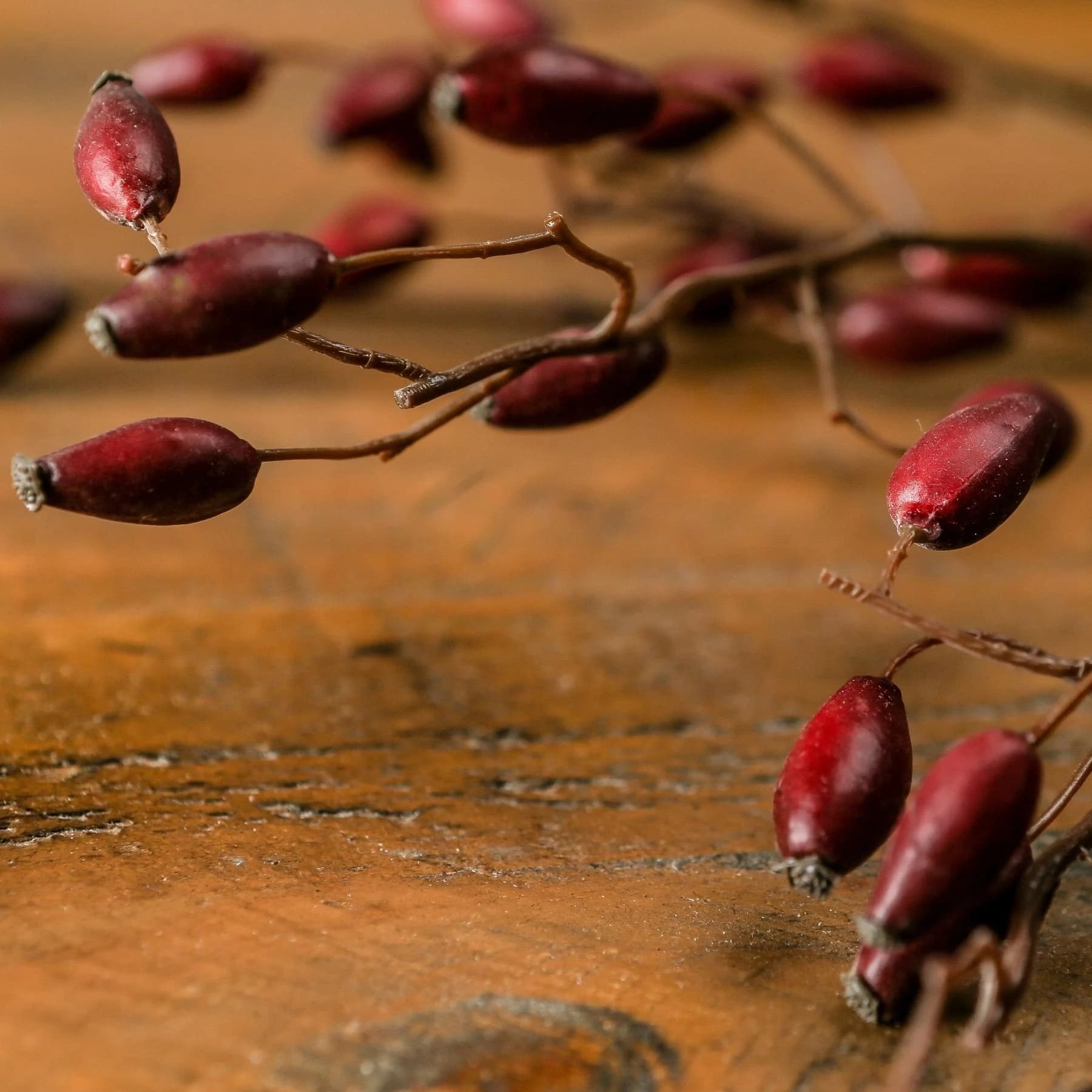 Burgundy Rosehip Stem — Pack of 3 - Artificial plants & flowers, photo 3 of 6