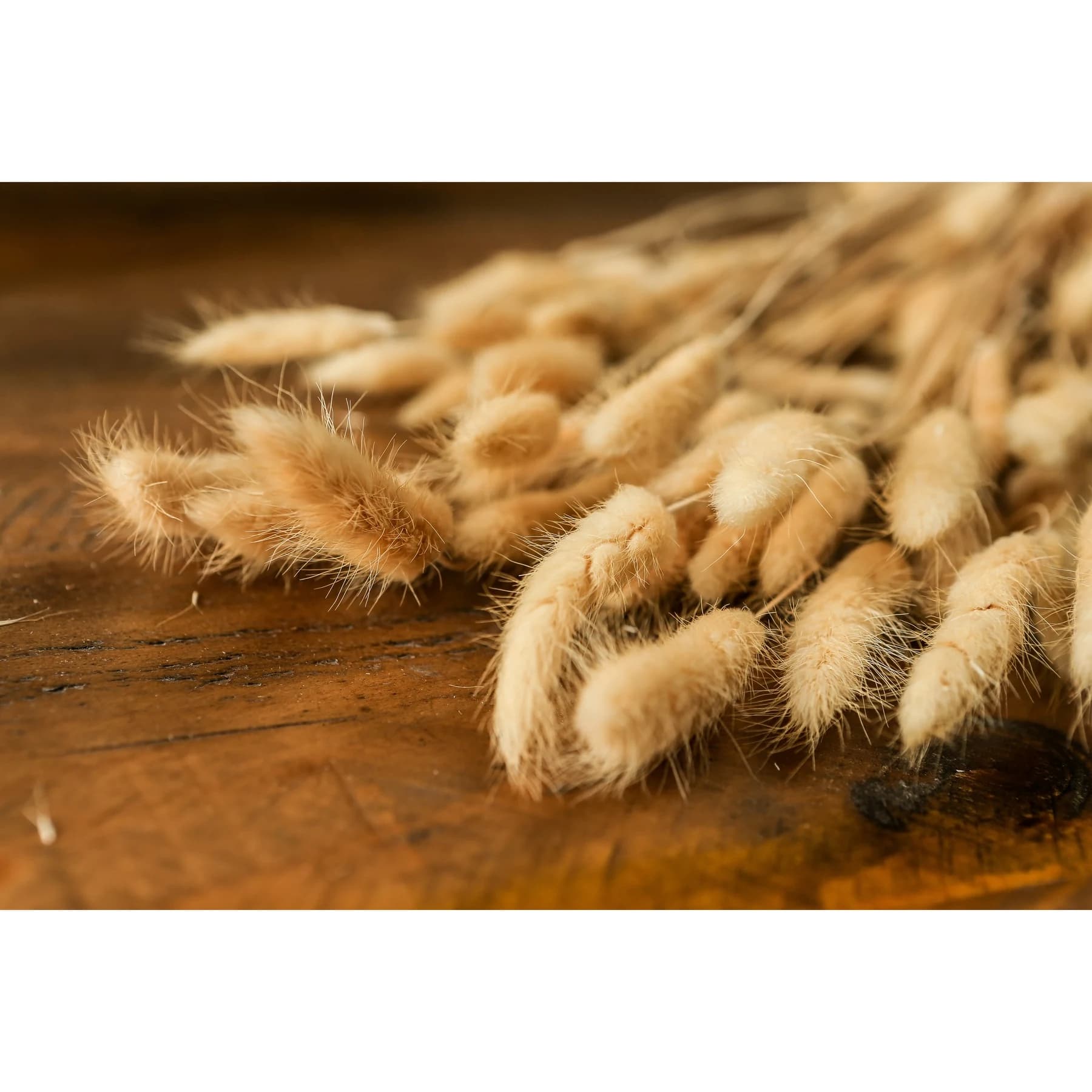 Bouquet Of Tall Bunny Tails - Vases, photo 4 of 4
