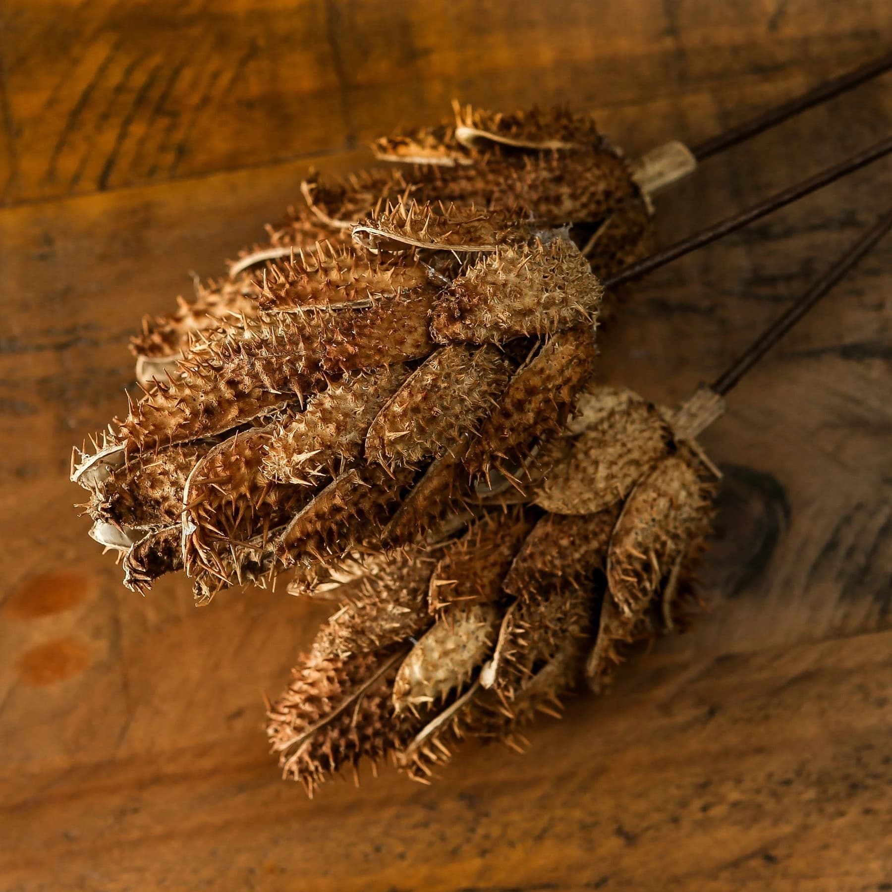 Bouquet Of Dried Protea - Artificial plants & flowers, photo 4 of 5