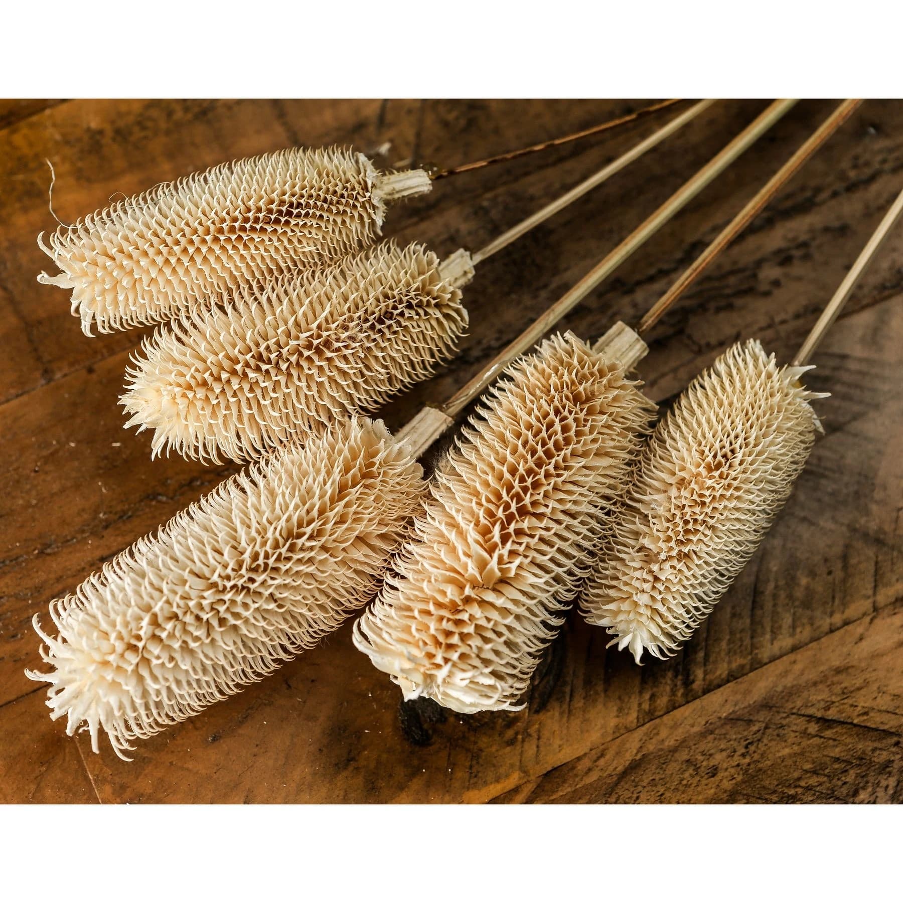 Bouquet Of Dried Tall Thistle - Artificial plants & flowers, photo 3 of 5