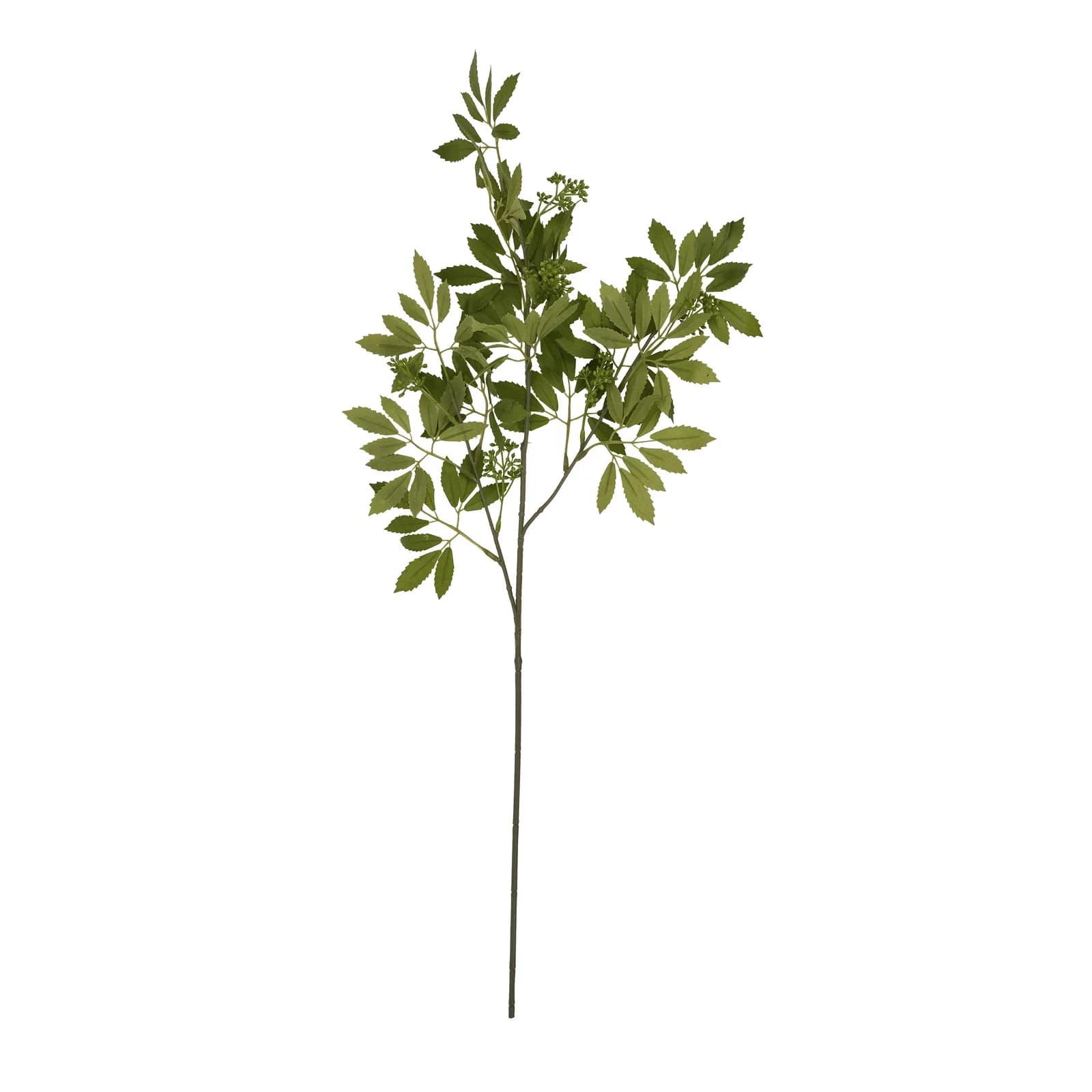 Long Fennel Stem — Pack of 5 - Artificial plants & flowers, photo 4 of 5