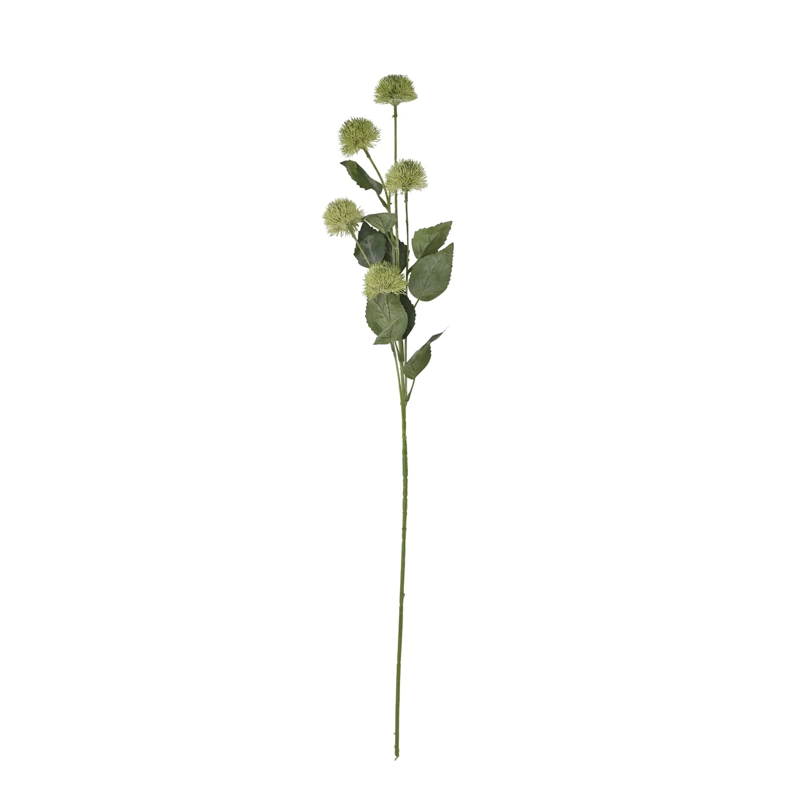 Thistle Globe Stem — Pack of 5 - Artificial plants & flowers, photo 4 of 5