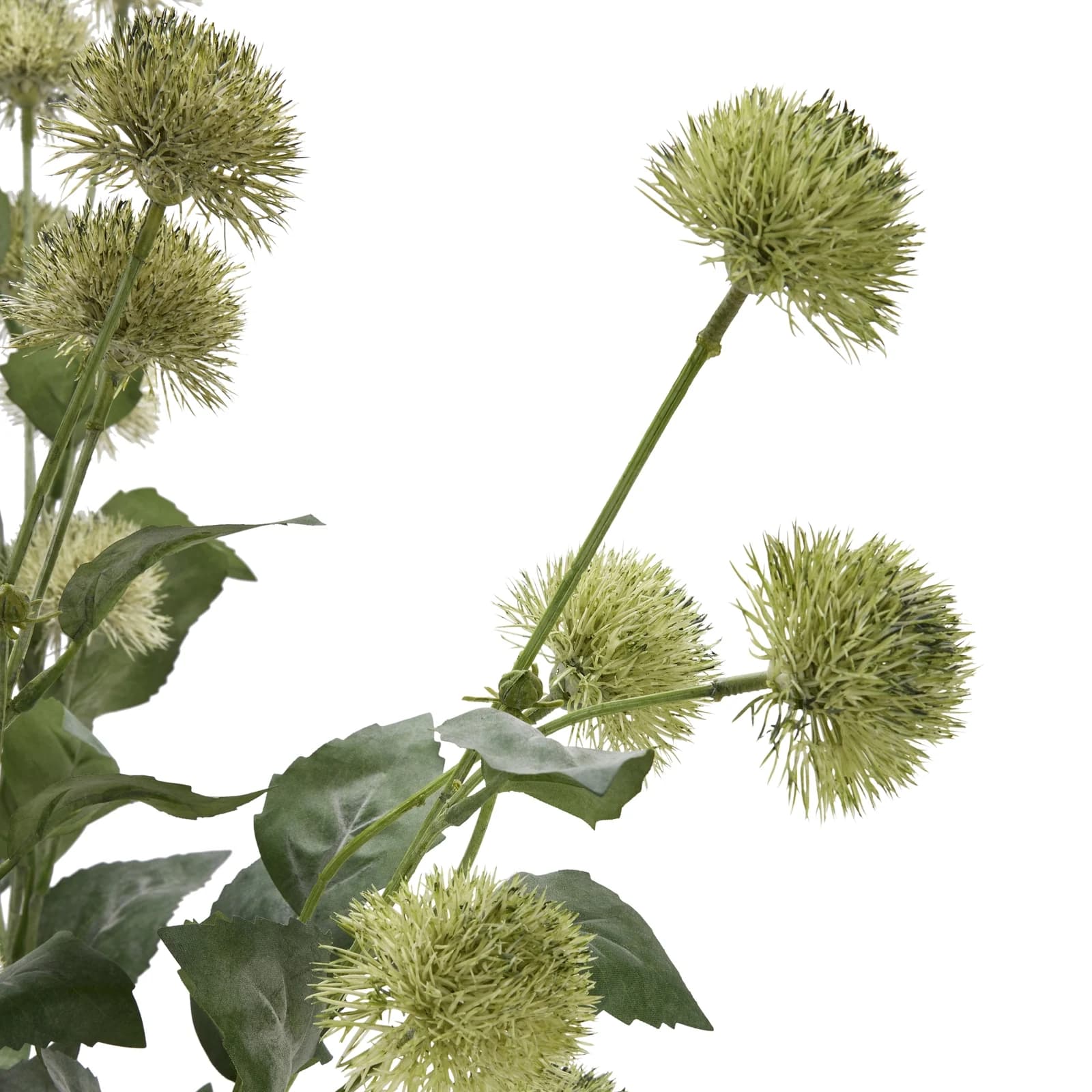 Thistle Globe Stem — Pack of 5 - Artificial plants & flowers, photo 5 of 5
