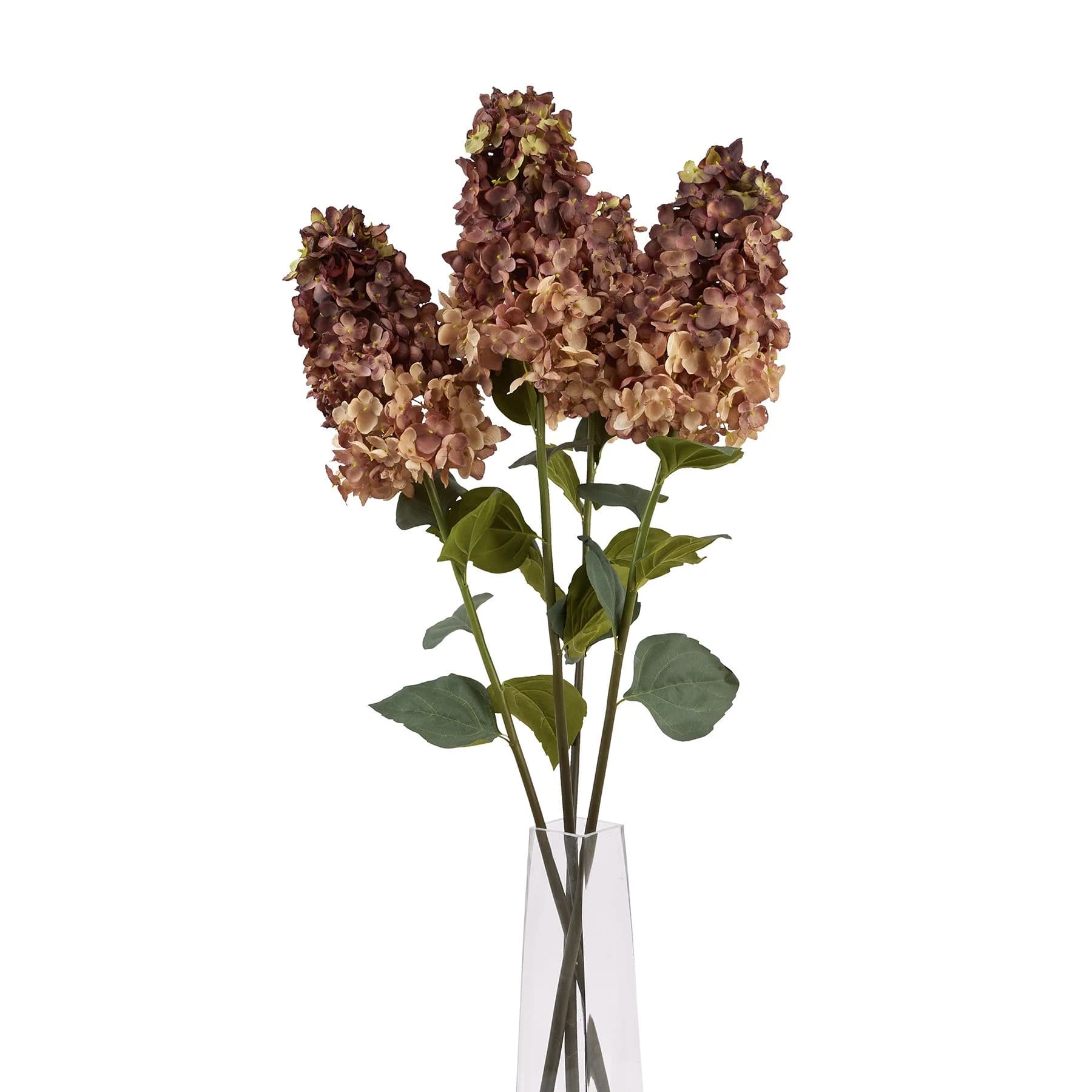 Burgundy Spear Hydrangea — Pack of 5 - Artificial plants & flowers, photo 5 of 5