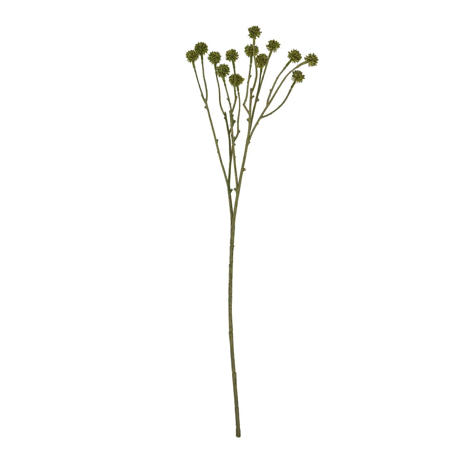 Green Craspedia Stem — Pack of 5 - Artificial plants & flowers, photo 4 of 5