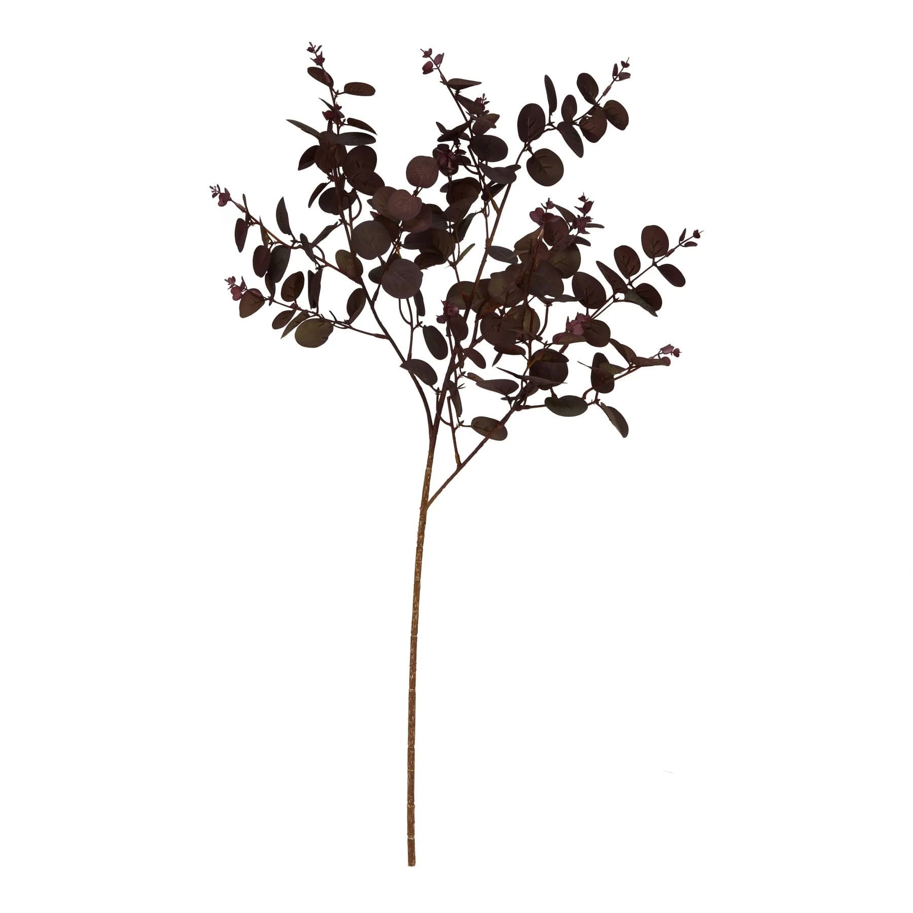 Burgundy Eucalyptus Bunch — Pack of 5 - Artificial plants & flowers, photo 2 of 2