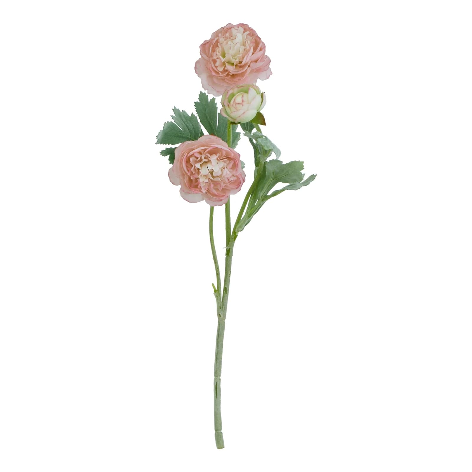 The Natural Garden Collection Pink Ranunculus — Pack of 5 - Artificial plants & flowers, photo 3 of 5
