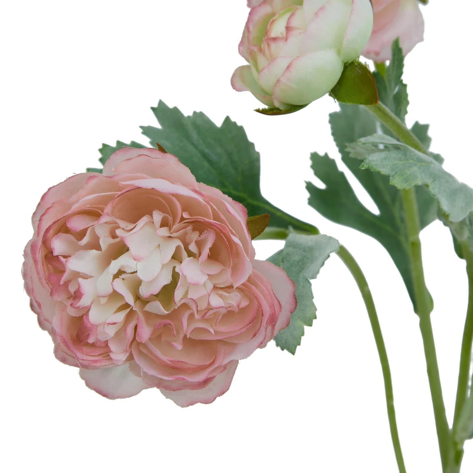 The Natural Garden Collection Pink Ranunculus — Pack of 5 - Artificial plants & flowers, photo 4 of 5