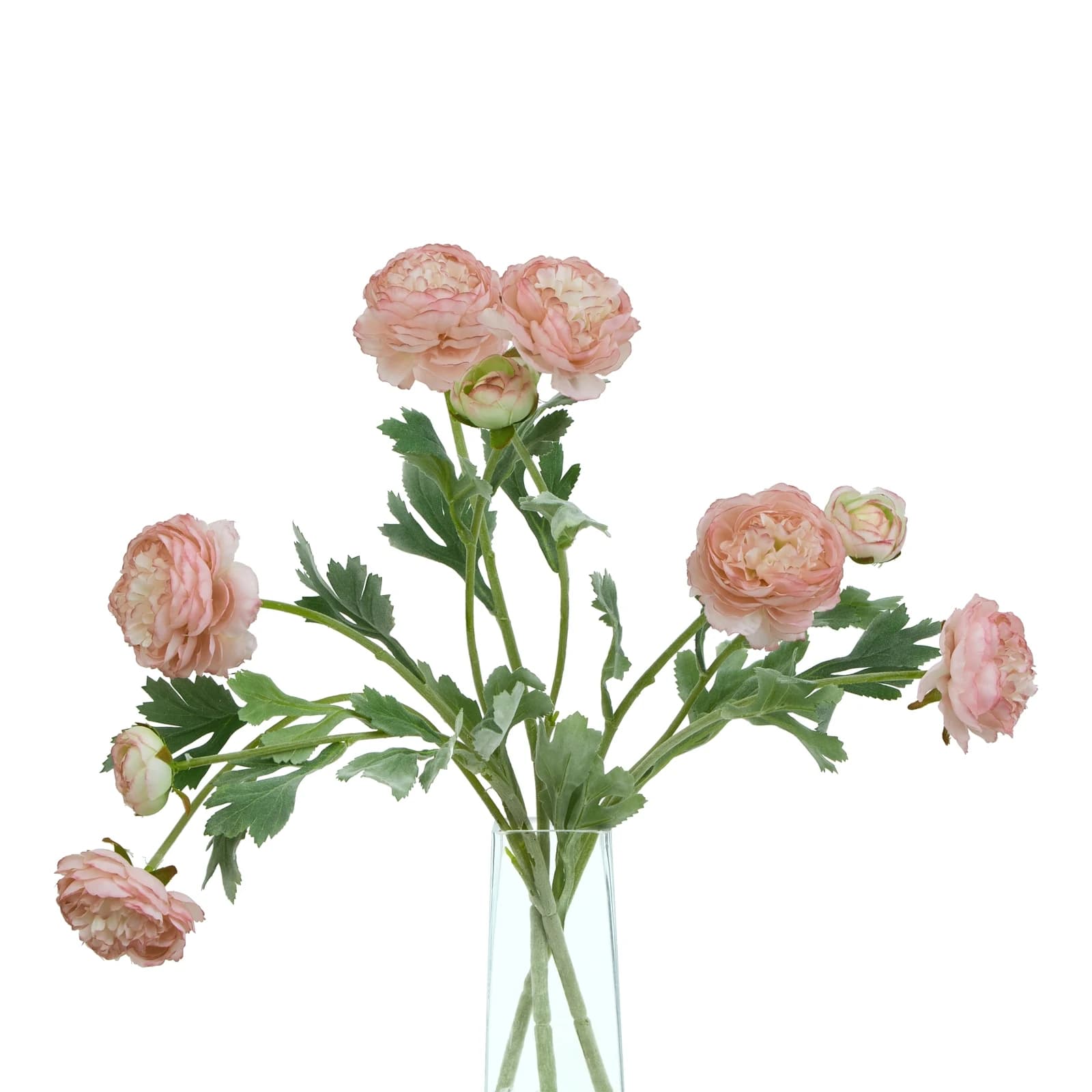 The Natural Garden Collection Pink Ranunculus — Pack of 5 - Artificial plants & flowers, photo 5 of 5