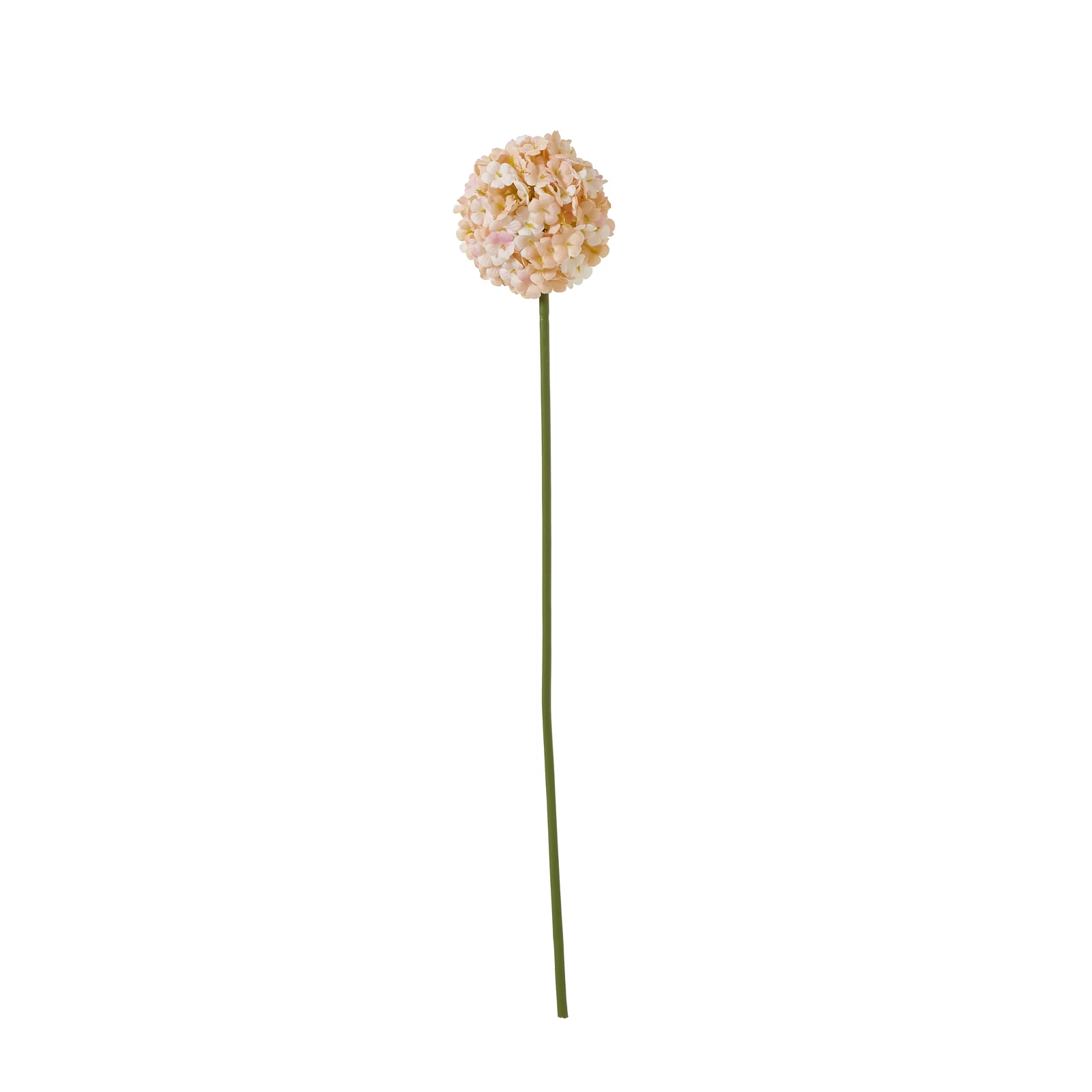 The Natural Garden Collection White & Apricot Allium — Pack of 5 - Artificial plants & flowers, photo 3 of 5