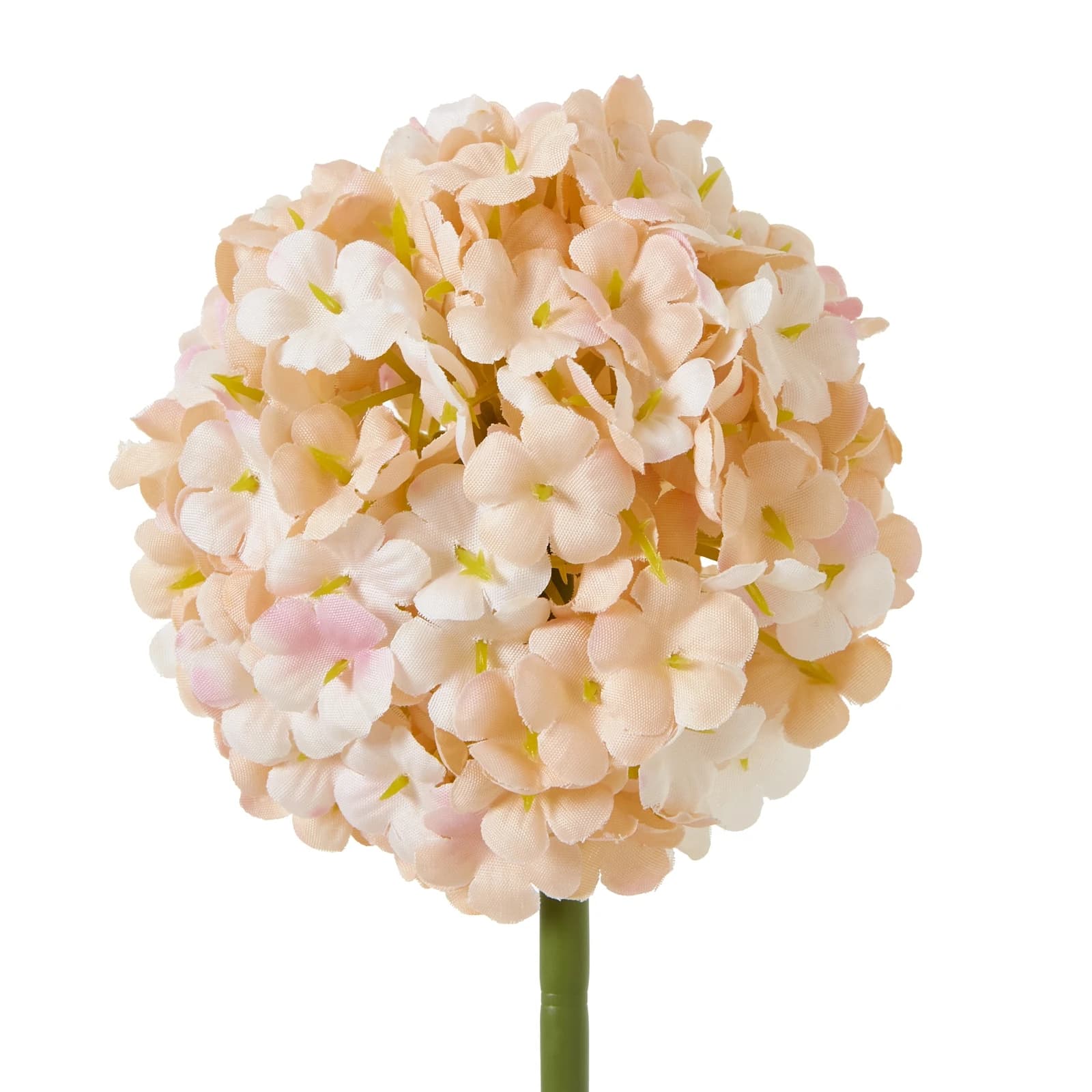The Natural Garden Collection White & Apricot Allium — Pack of 5 - Artificial plants & flowers, photo 4 of 5