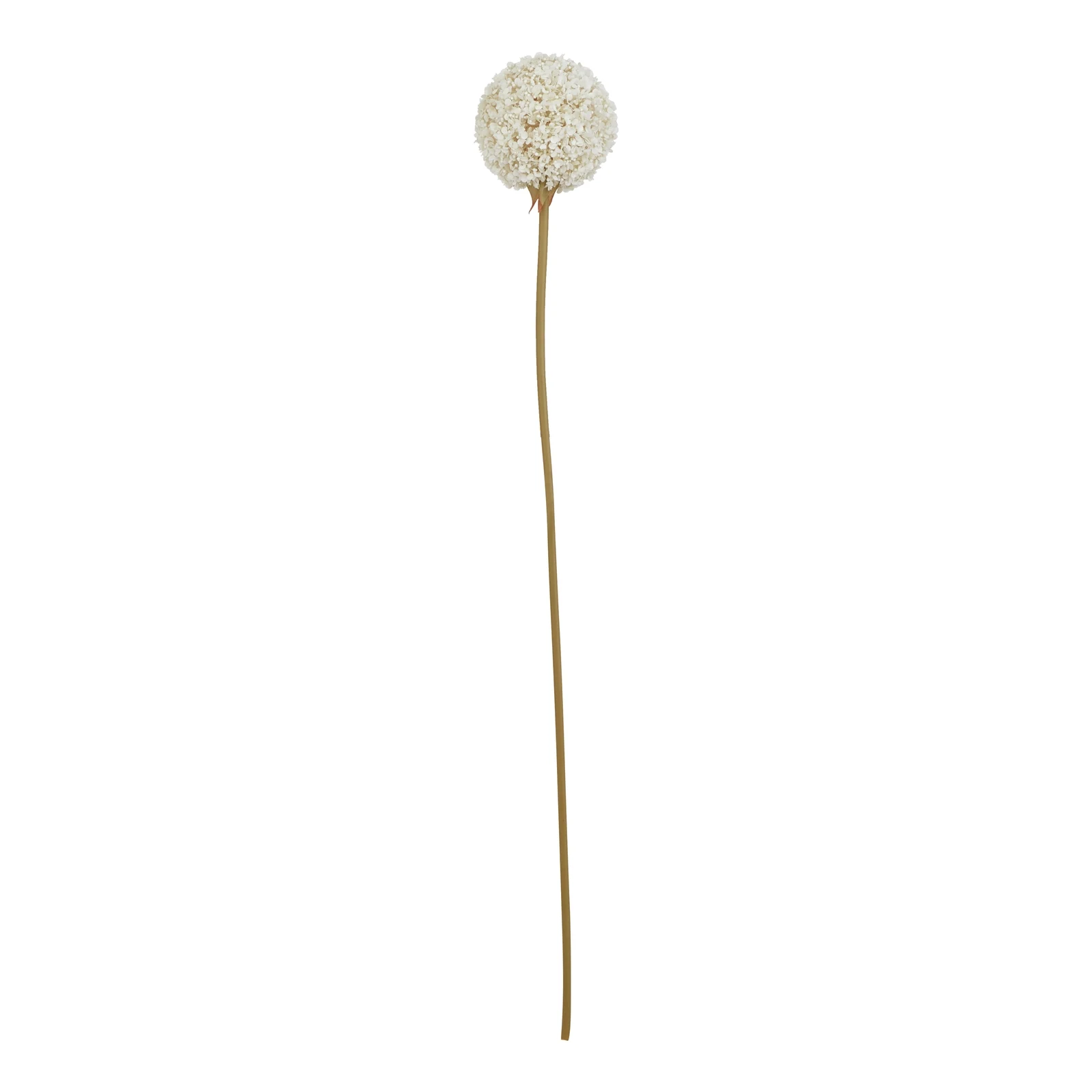 The Natural Garden Collection White Allium — Pack of 5 - Artificial plants & flowers, photo 3 of 4