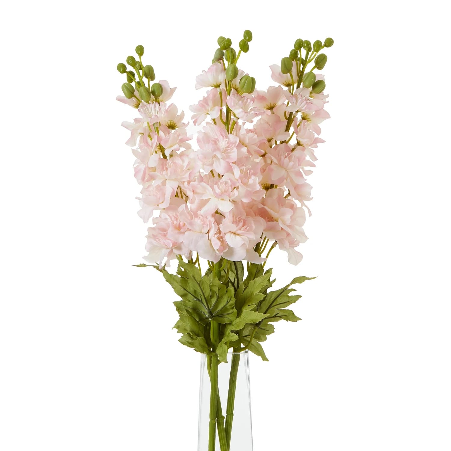 The Natural Garden Collection Pink Elatum Delphinium — Pack of 5 - Artificial plants & flowers, photo 3 of 3