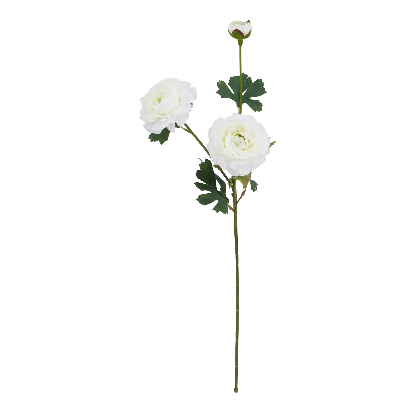 The Natural Garden Collection White Ranunculus — Pack of 5 - Artificial plants & flowers, photo 3 of 5