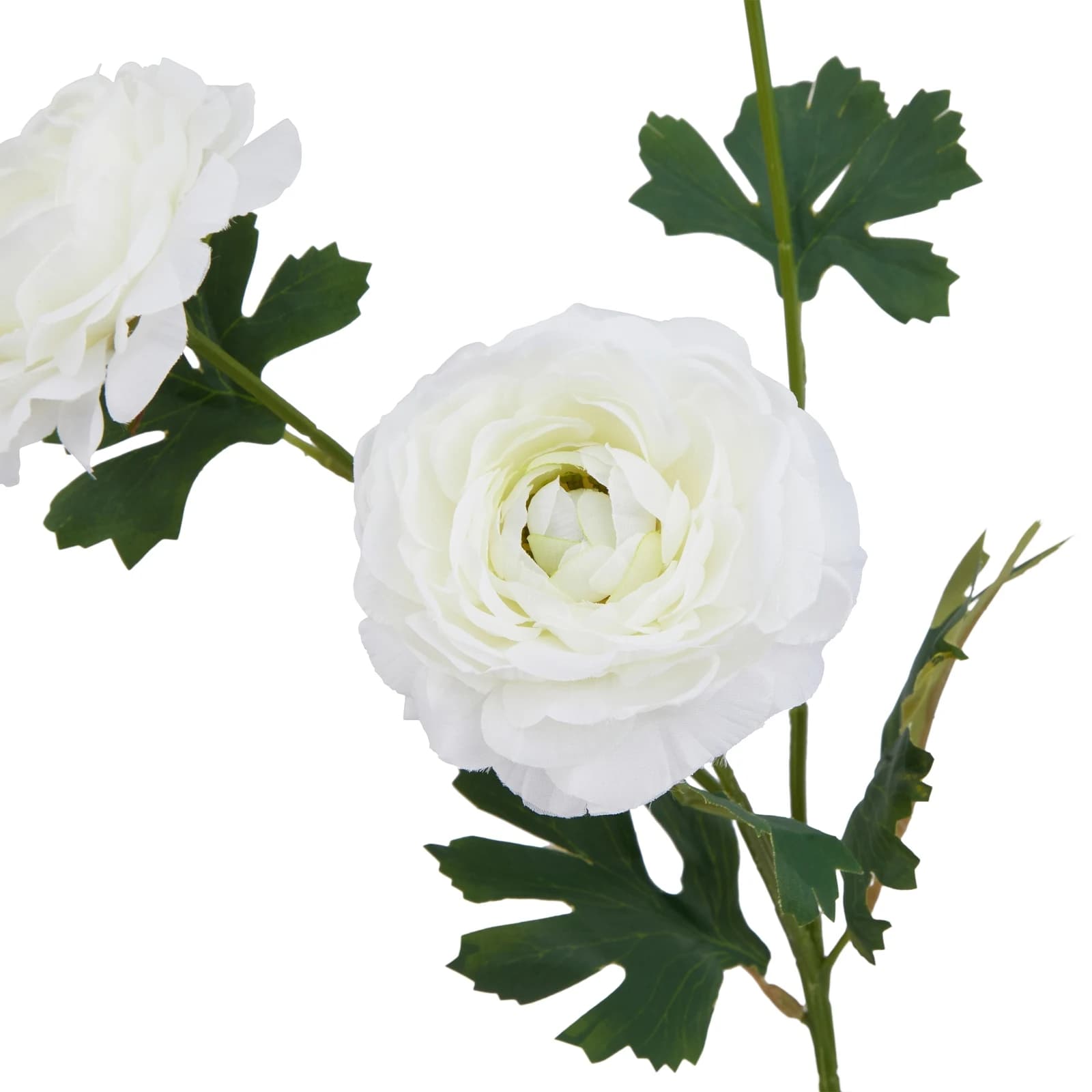 The Natural Garden Collection White Ranunculus — Pack of 5 - Artificial plants & flowers, photo 4 of 5
