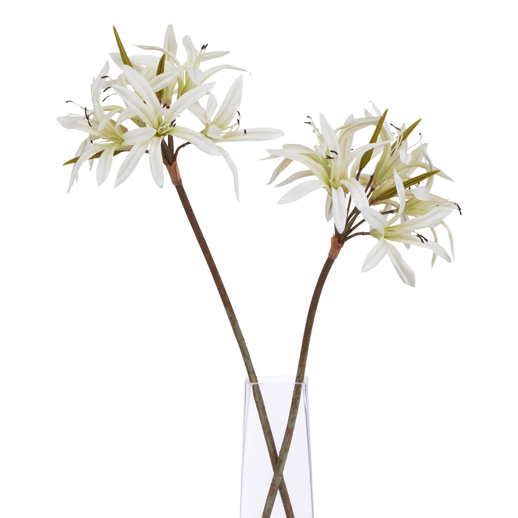 The Natural Garden Collection White Nerine Lily Stem — Pack of 5 - Artificial plants & flowers, photo 3 of 3