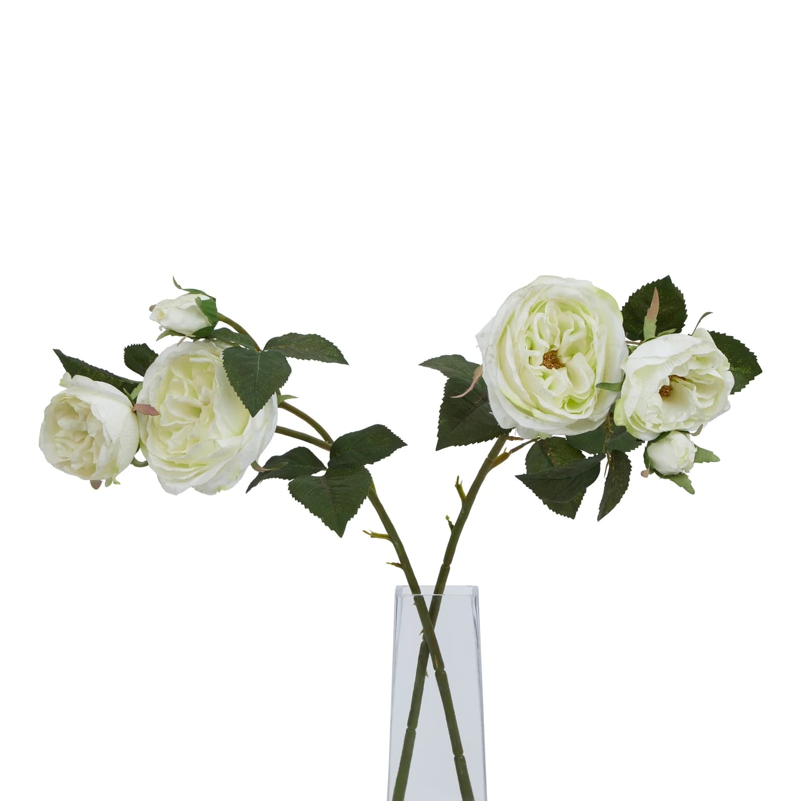 The Natural Garden Collection White Charity Rose — Pack of 5 - Artificial plants & flowers, photo 5 of 5