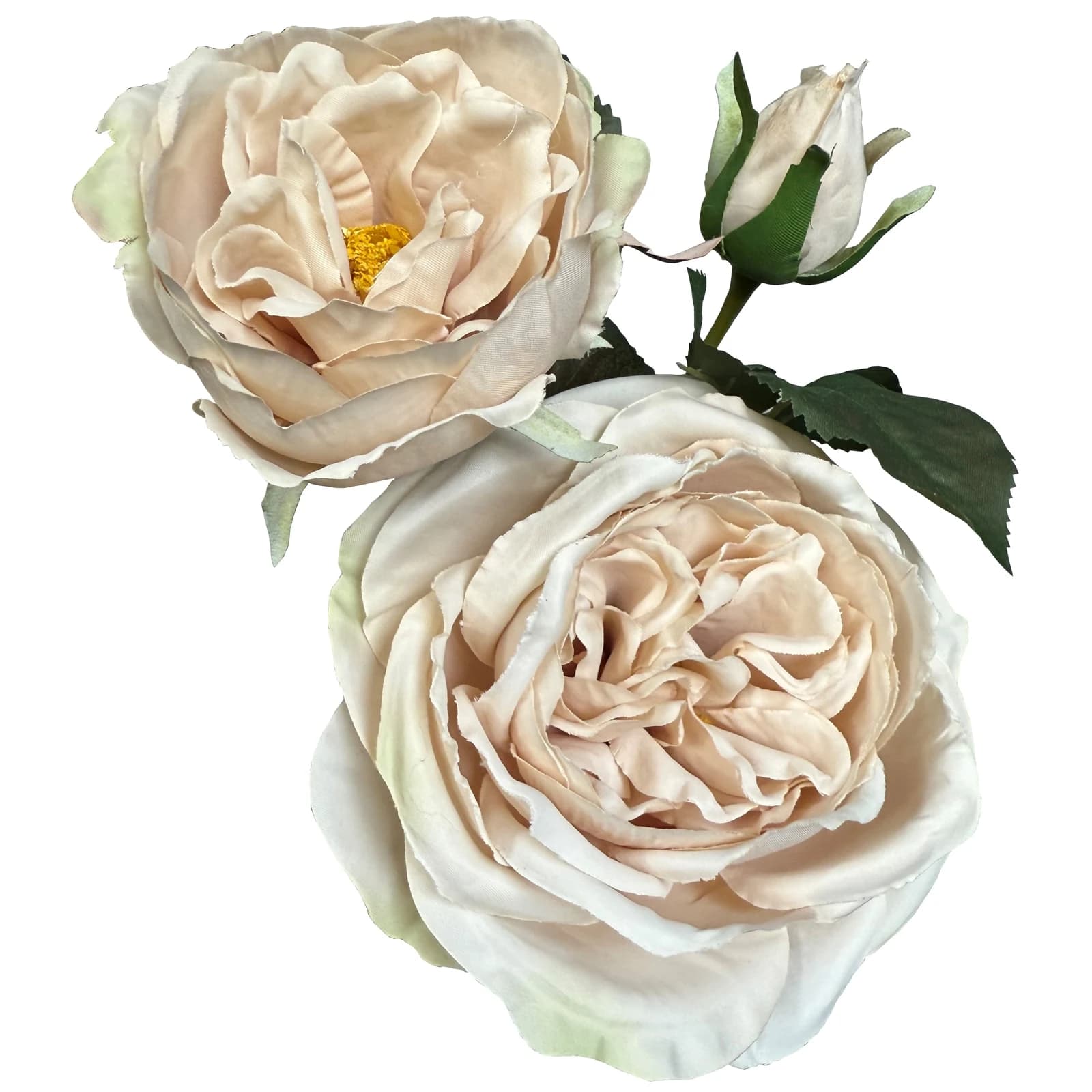 The Natural Garden Collection Palest Blush Charity Rose — Pack of 5 - Artificial plants & flowers, photo 3 of 5