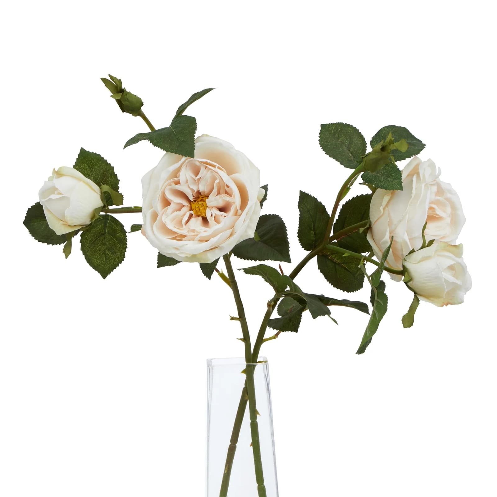 The Natural Garden Collection Palest Blush Charity Rose — Pack of 5 - Artificial plants & flowers, photo 5 of 5