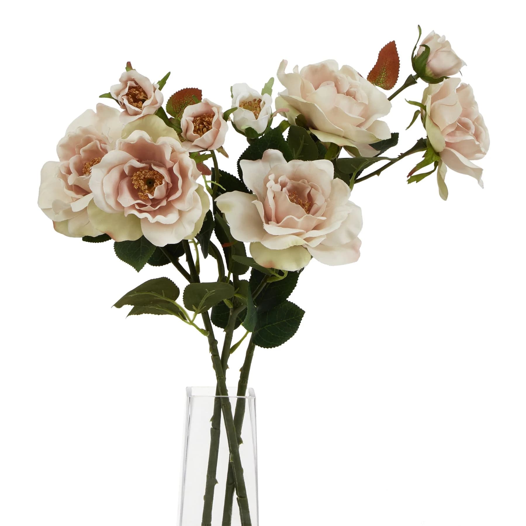 The Natural Garden Collection Palest Blush Tea Rose — Pack of 5 - Artificial plants & flowers, photo 2 of 2