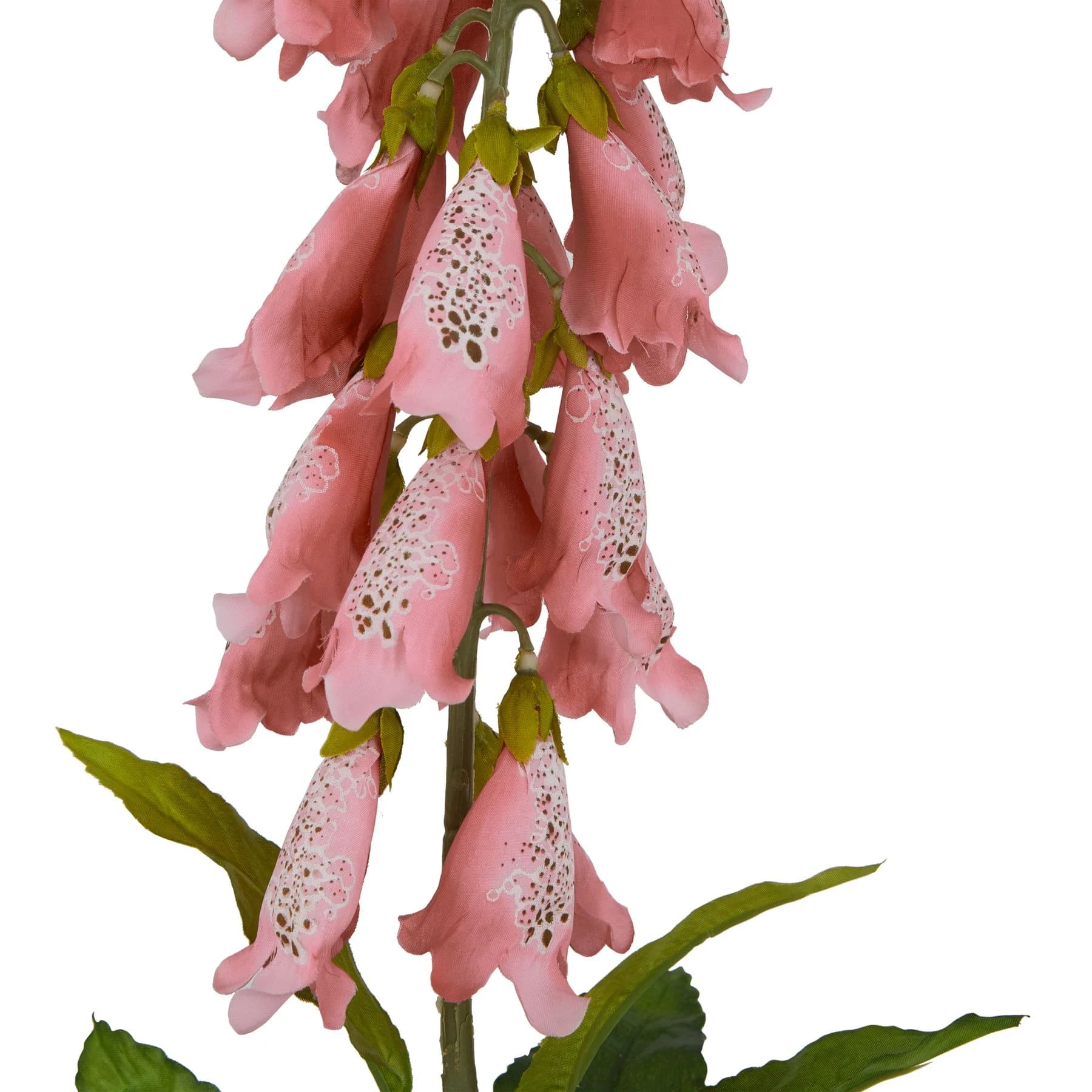 The Natural Garden Collection Pale Pink Foxglove — Pack of 5 - Artificial plants & flowers, photo 2 of 2
