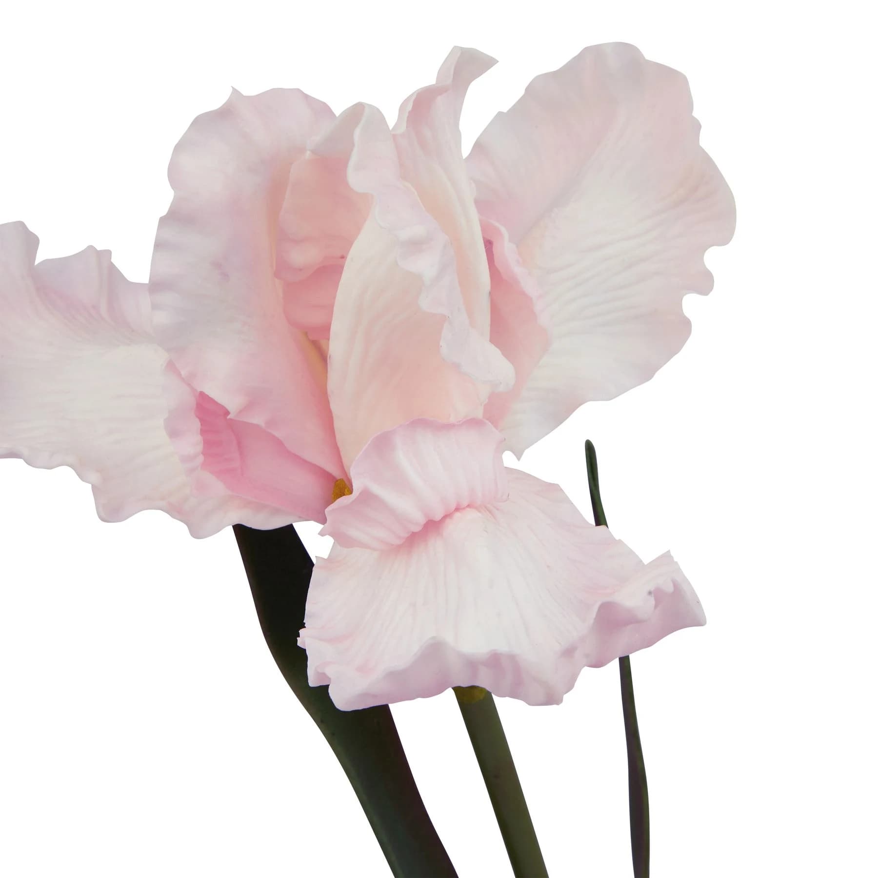 The Natural Garden Collection Pale Pink Fringed Iris — Pack of 3 - Artificial plants & flowers, photo 2 of 4