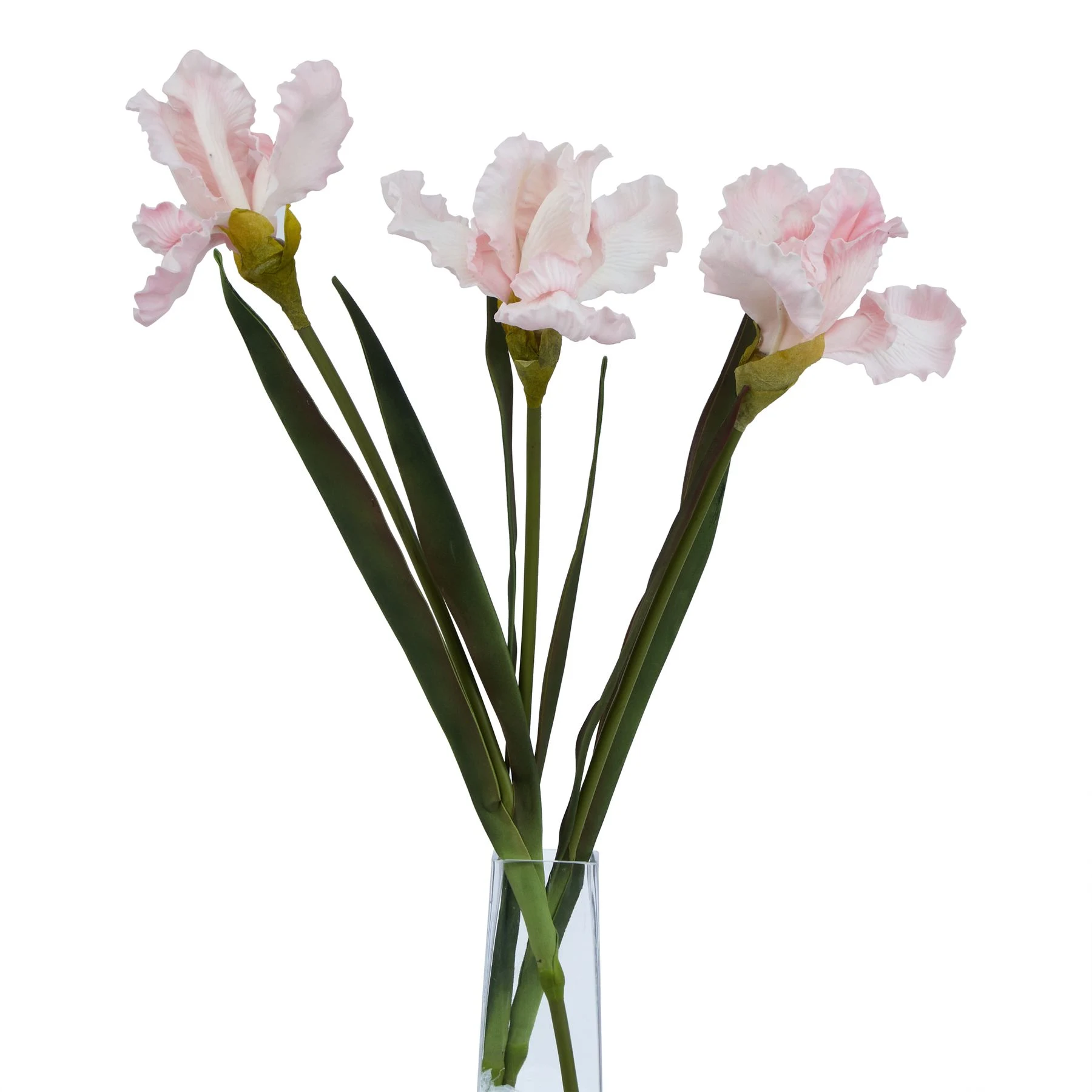 The Natural Garden Collection Pale Pink Fringed Iris — Pack of 3 - Artificial plants & flowers, photo 3 of 4