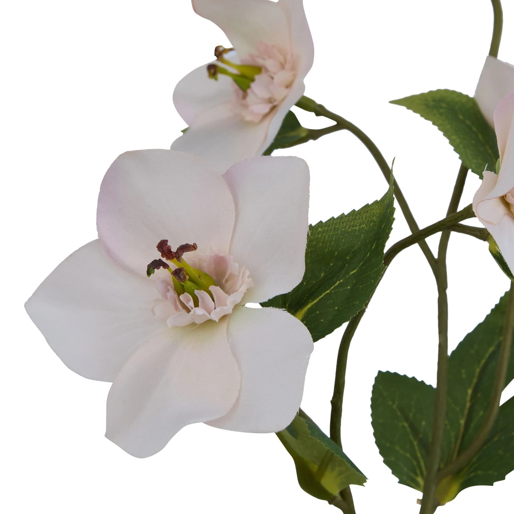 The Natural Garden Collection Pale Apricot Hellibore — Pack of 5 - Artificial plants & flowers, photo 2 of 3