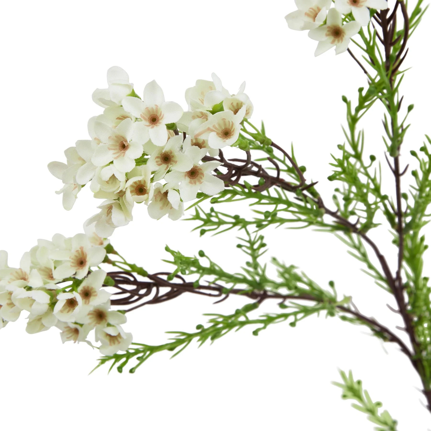 The Natural Garden Collection White Waxflower — Pack of 5 - Artificial plants & flowers, photo 2 of 3