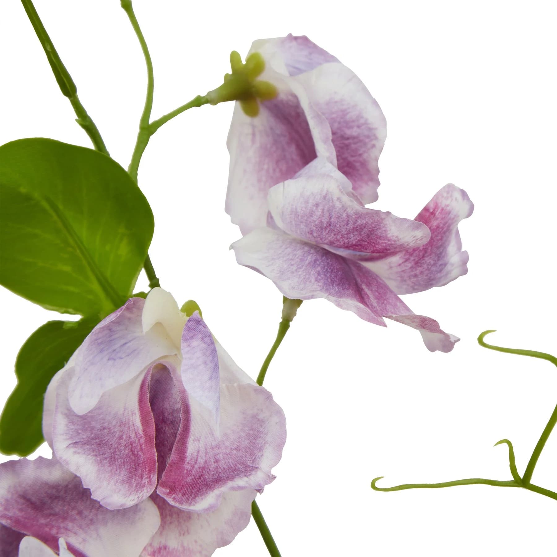 The Natural Garden Collection Purple Sweetpea Stem — Pack of 5 - Artificial plants & flowers, photo 2 of 2
