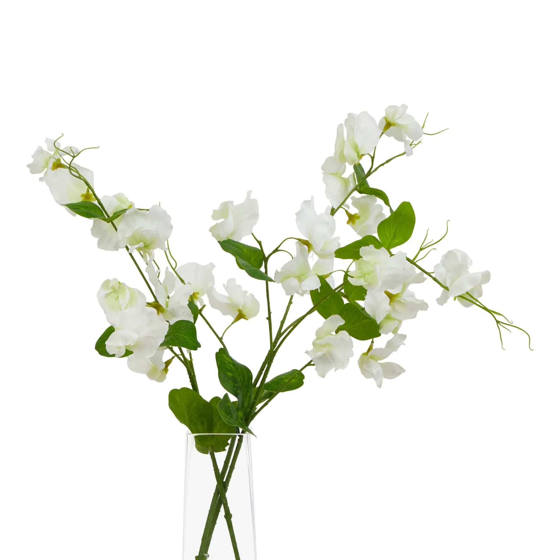 The Natural Garden Collection White Sweetpea Stem — Pack of 5 - Artificial plants & flowers, photo 3 of 4