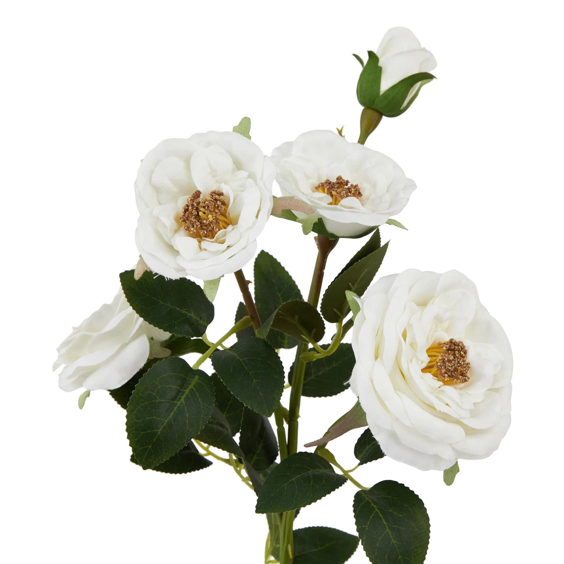 The Natural Garden Collection White Hedge Rose Stem — Pack of 5 - Artificial plants & flowers, photo 2 of 2