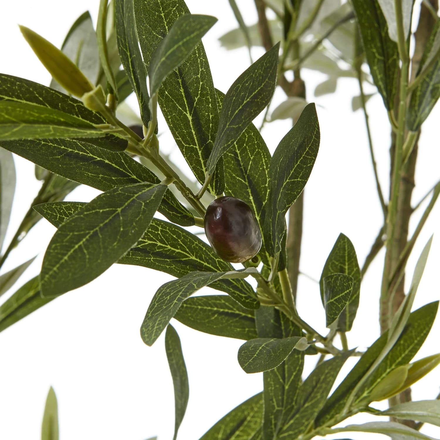 Apulia Olive Tree In White Pot 200Cm - Artificial plants & flowers, photo 2 of 5