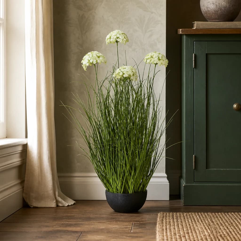 Large White Allium Plant In Pot - Decorative, photo 1 of 4